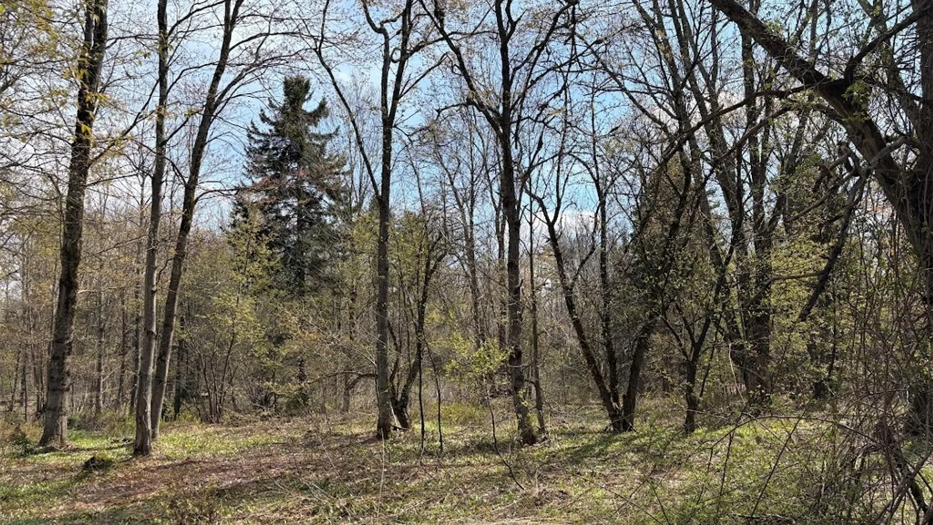 Property at 1438 Gregory Road, Osceola, NY 13316 9