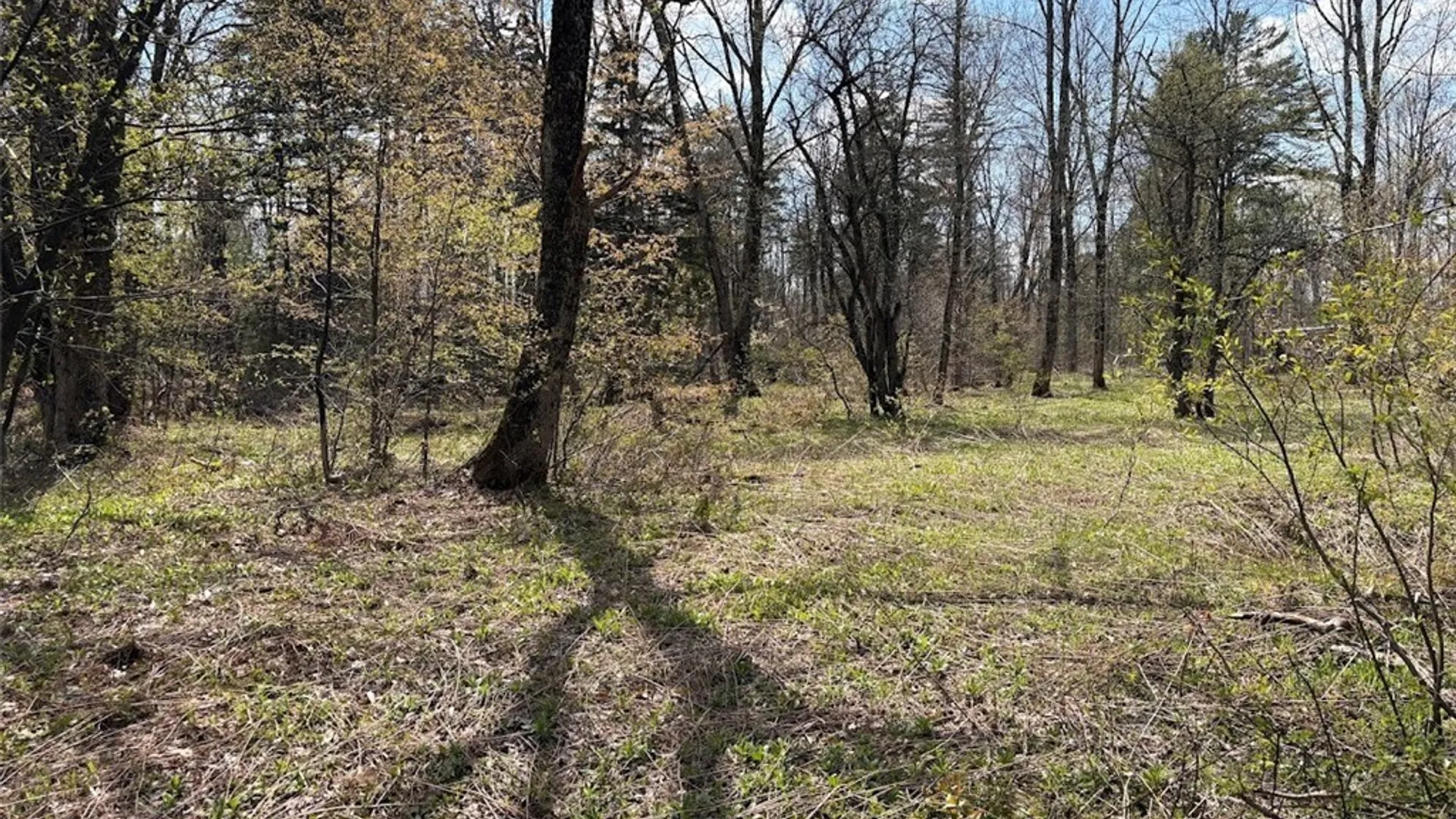 Property at 1438 Gregory Road, Osceola, NY 13316 10