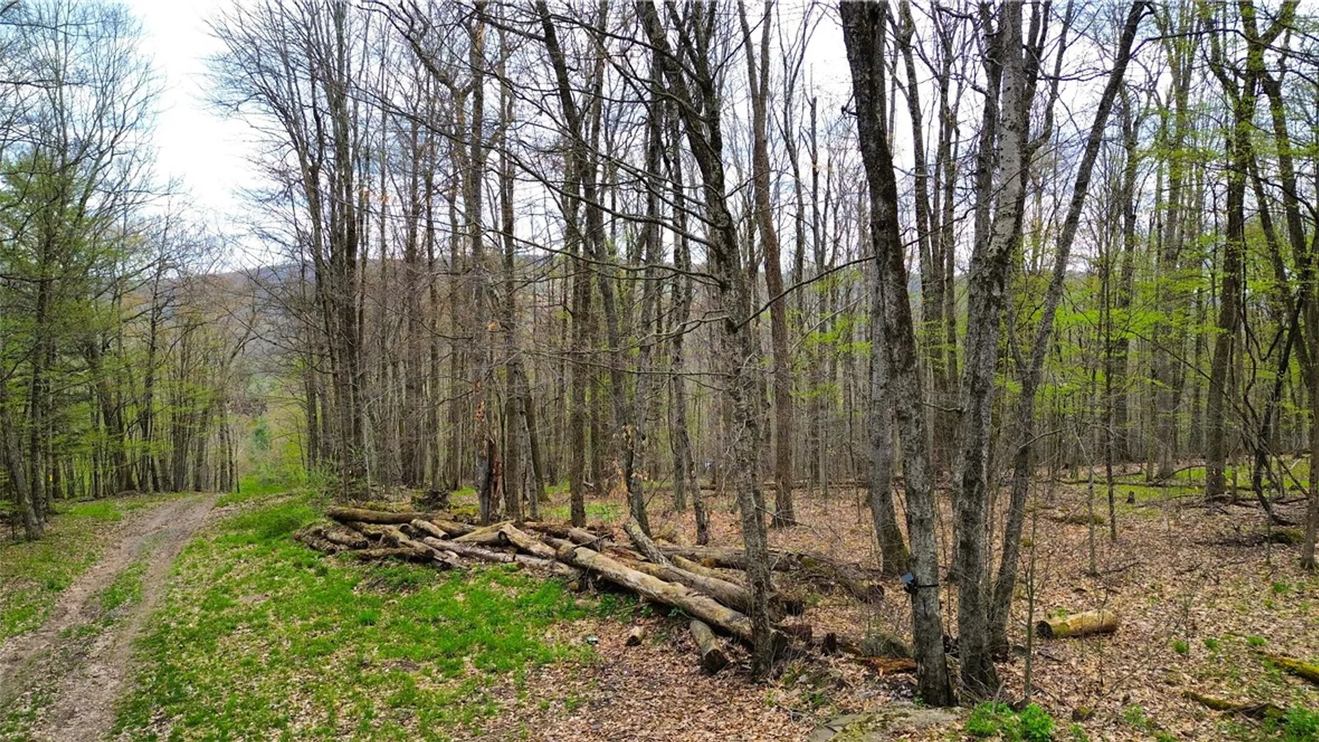 Property at 0 Patent Line Road, Sidney, NY 13838 23