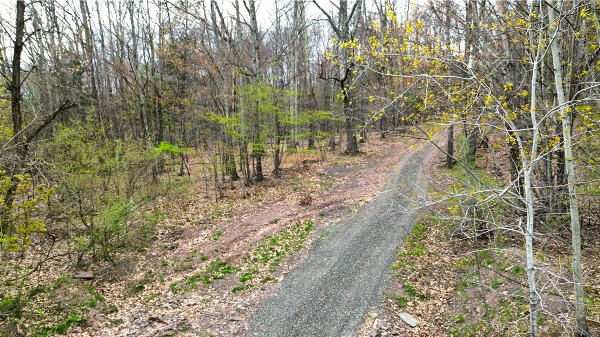 Property at 0 Patent Line Road, Sidney, NY 13838 24