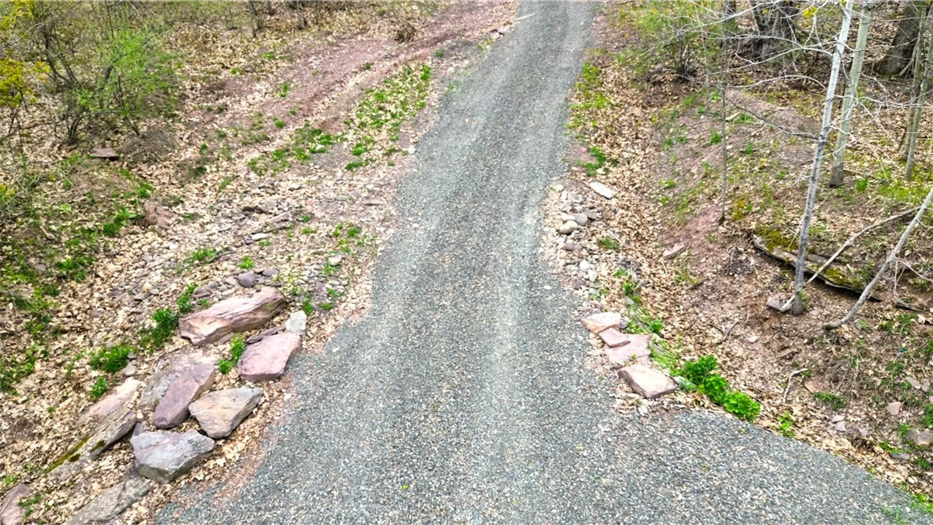Property at 0 Patent Line Road, Sidney, NY 13838 10