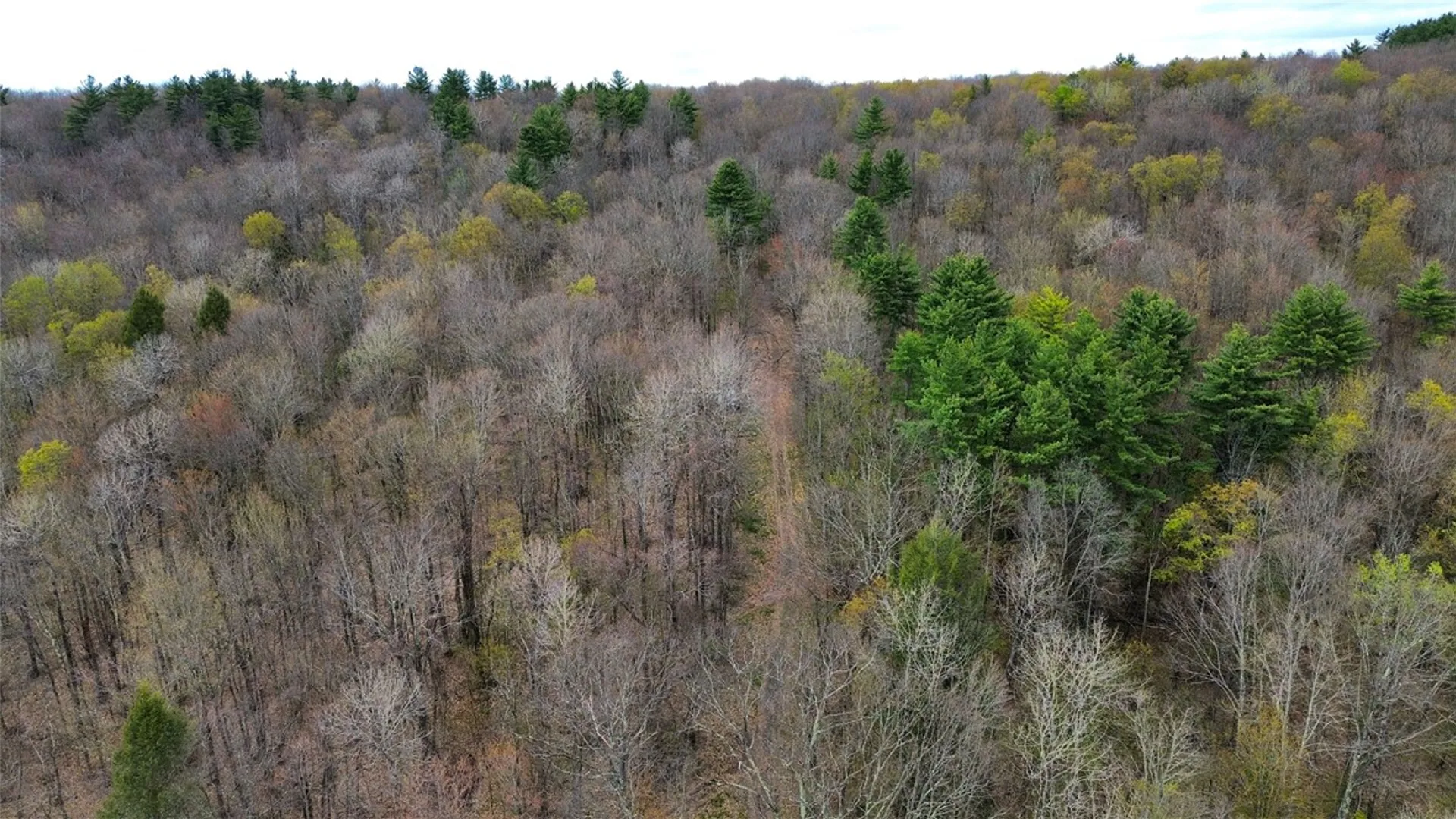 Property at 0 Patent Line Road, Sidney, NY 13838 26