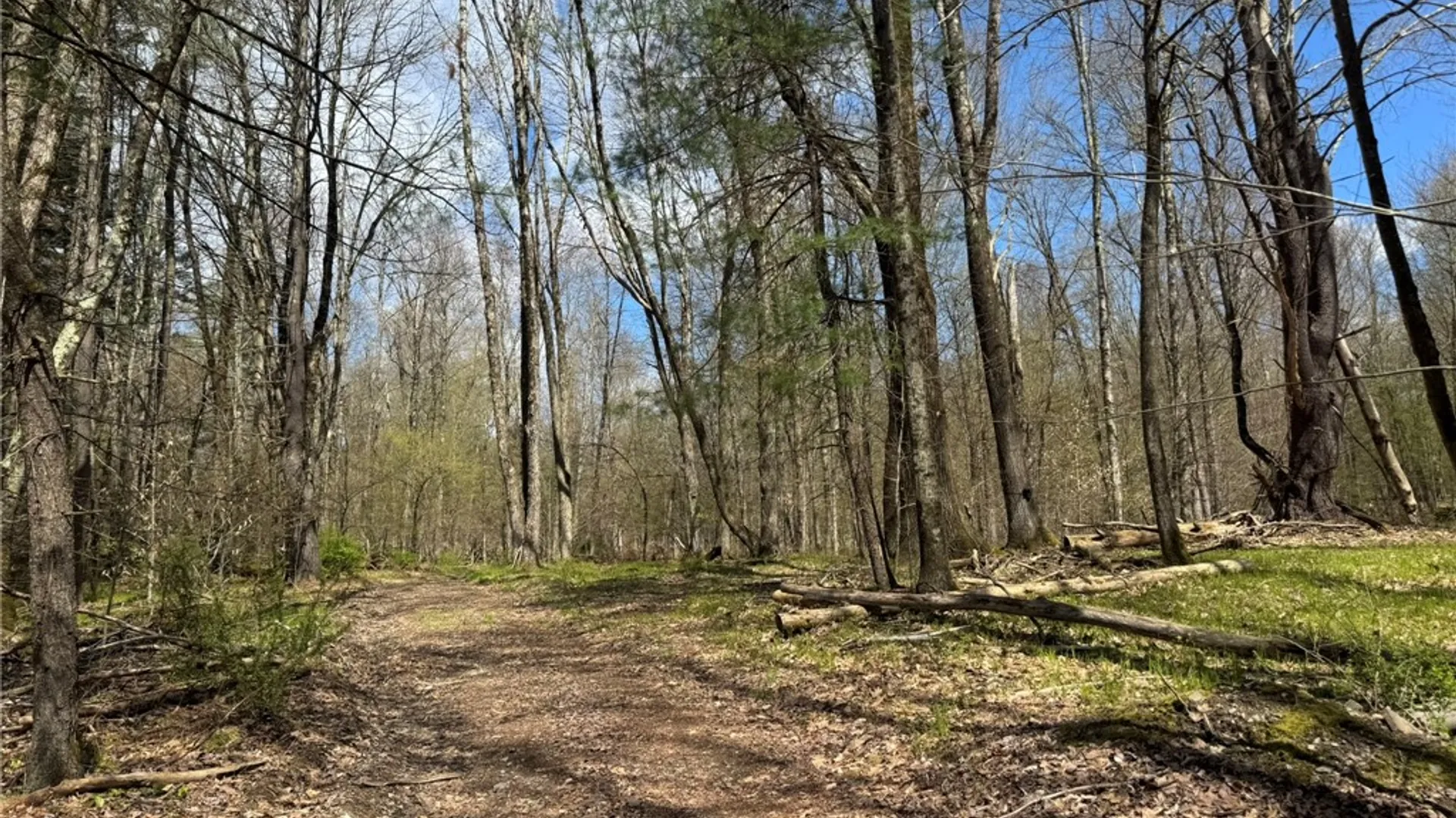 Property at 0 Patent Line Road, Sidney, NY 13838 25
