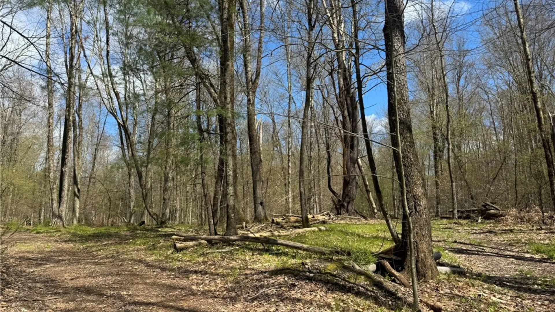 Property at 0 Patent Line Road, Sidney, NY 13838 27