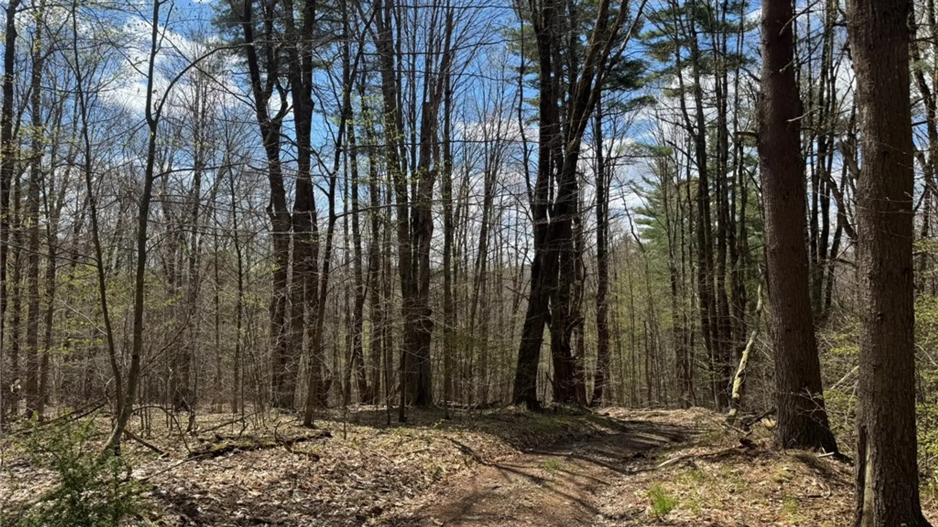 Property at 0 Patent Line Road, Sidney, NY 13838 28