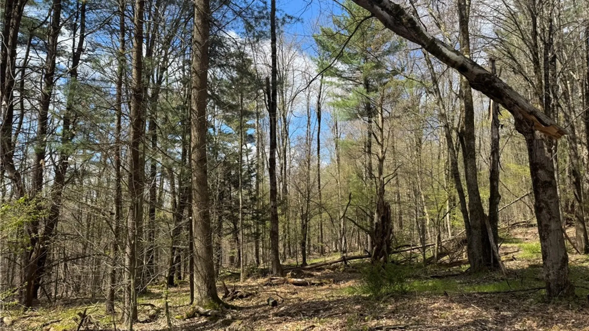 Property at 0 Patent Line Road, Sidney, NY 13838 29