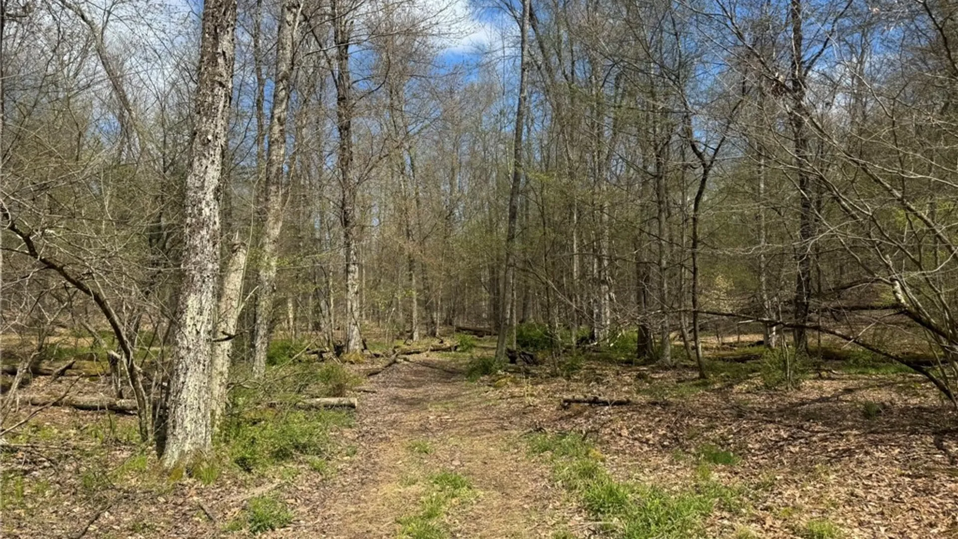 Property at 0 Patent Line Road, Sidney, NY 13838 30