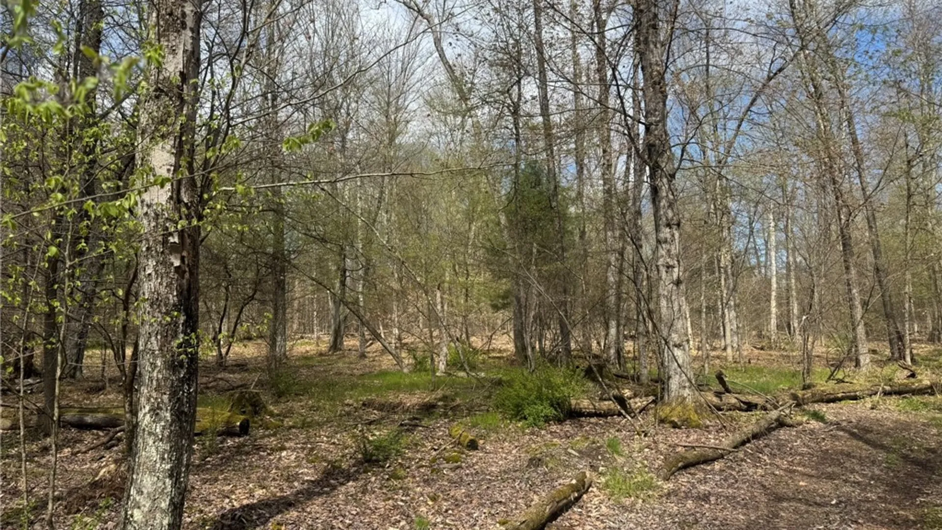 Property at 0 Patent Line Road, Sidney, NY 13838 31