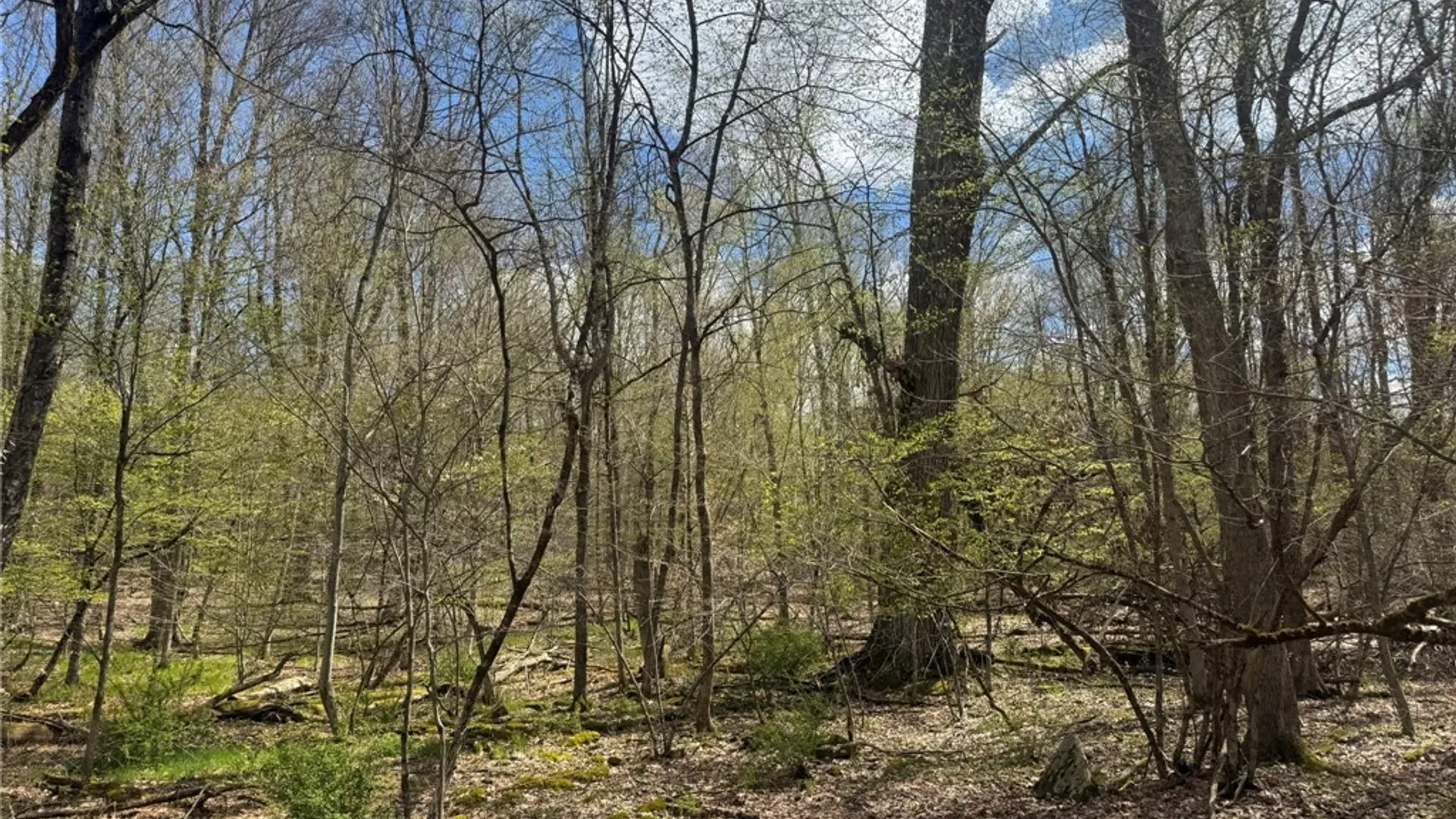 Property at 0 Patent Line Road, Sidney, NY 13838 32
