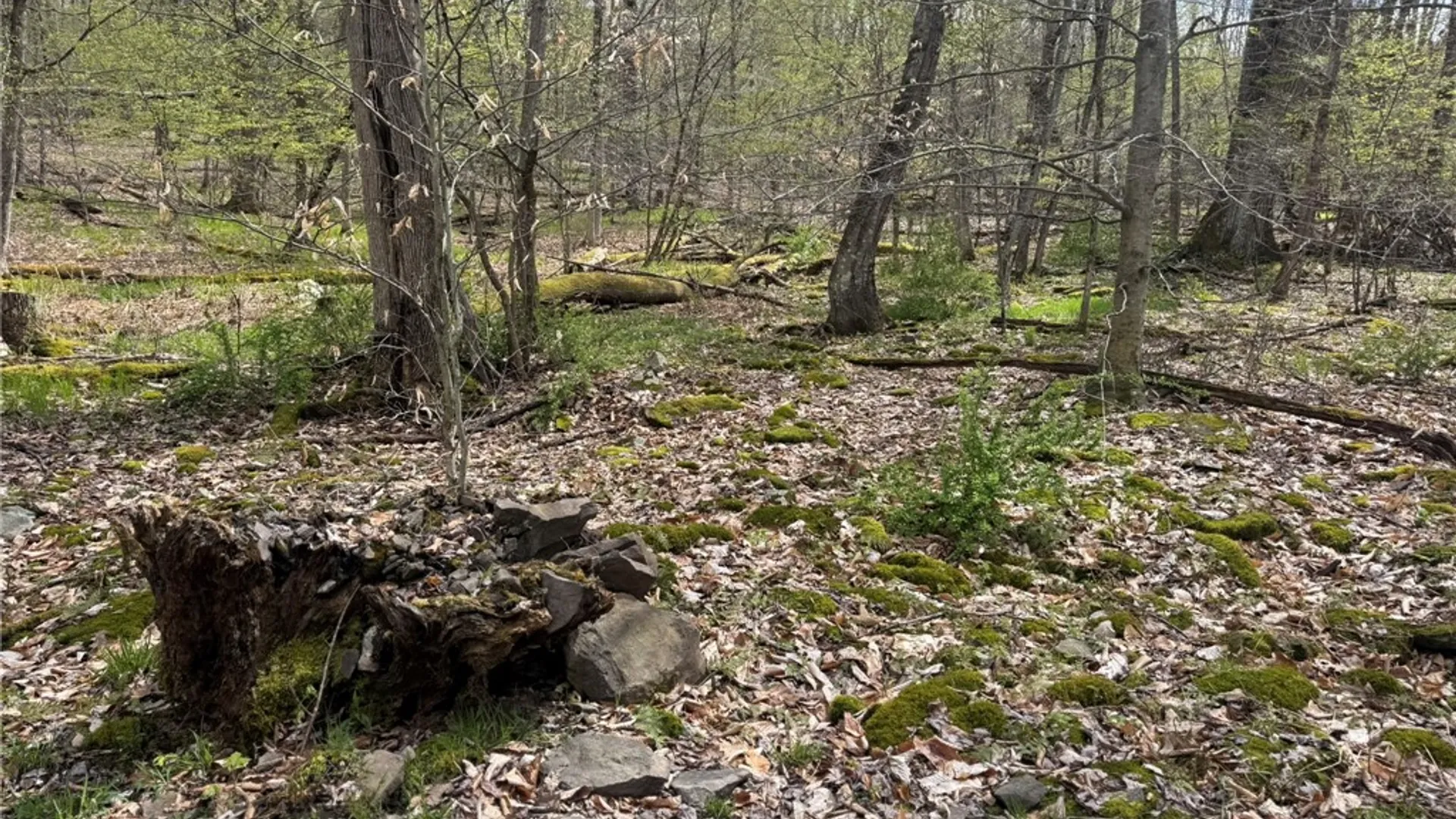 Property at 0 Patent Line Road, Sidney, NY 13838 33