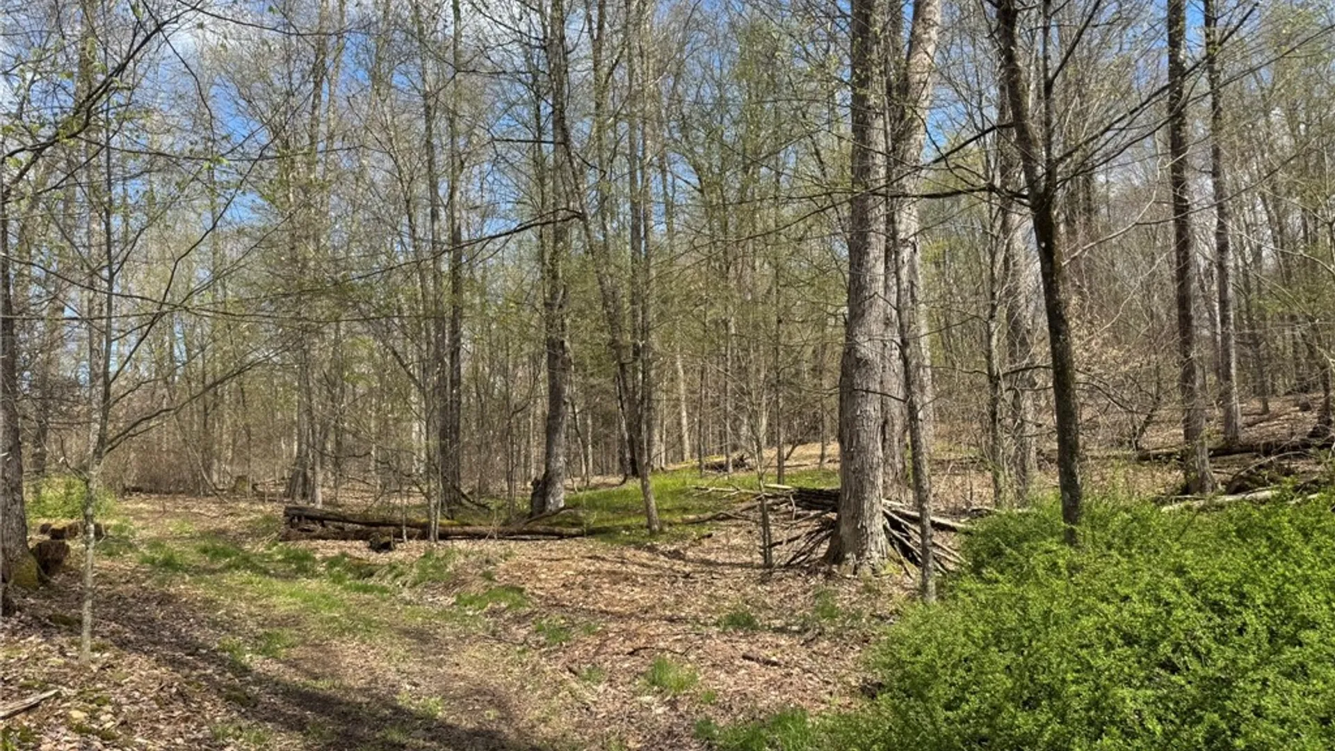 Property at 0 Patent Line Road, Sidney, NY 13838 34