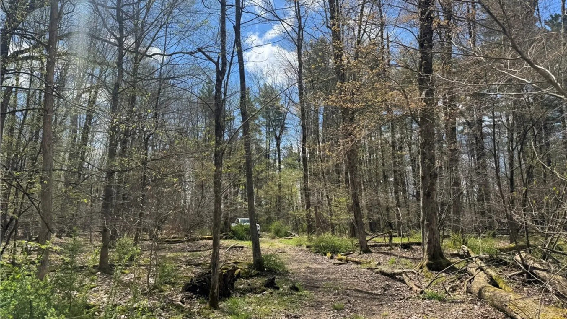 Property at 0 Patent Line Road, Sidney, NY 13838 36