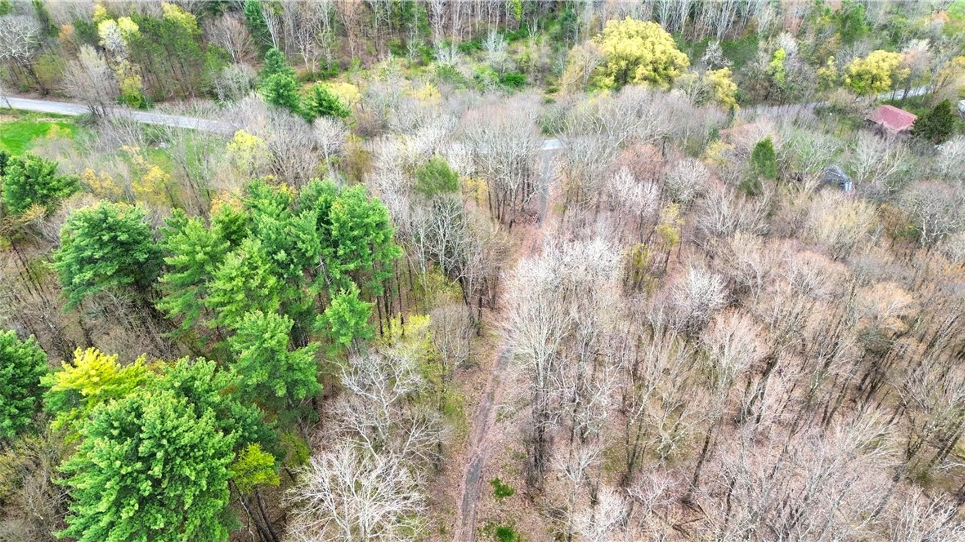 Property at 0 Patent Line Road, Sidney, NY 13838 9