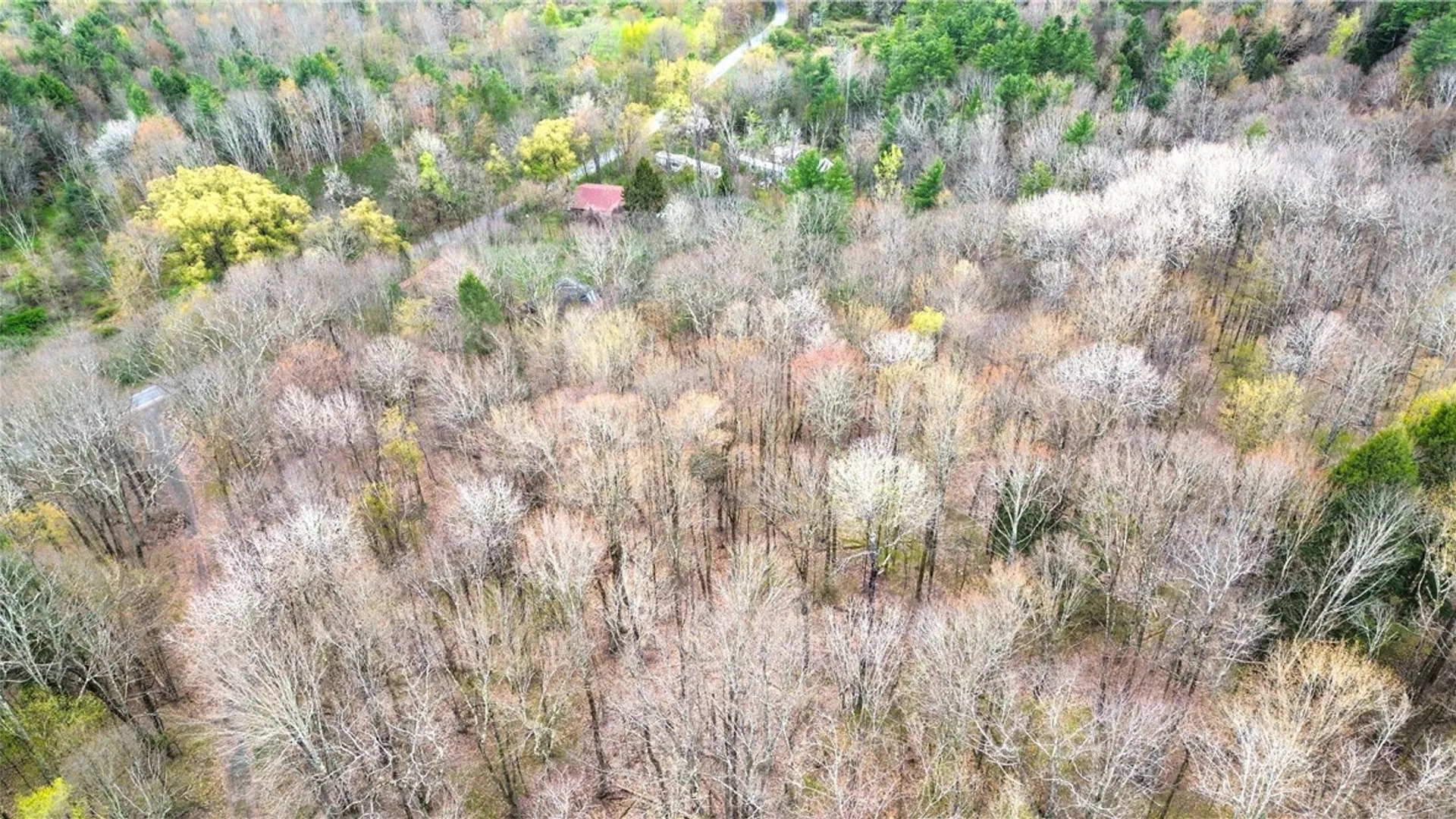 Property at 0 Patent Line Road, Sidney, NY 13838 11