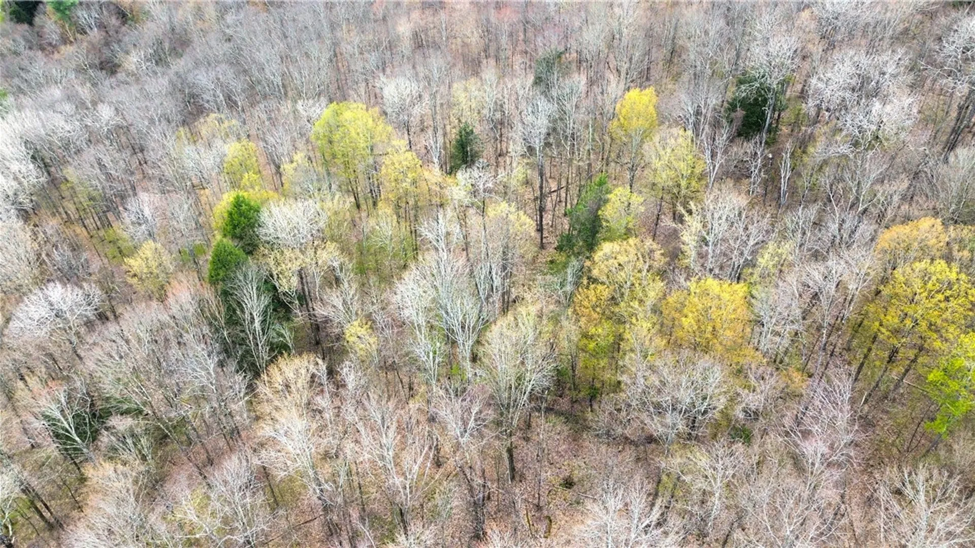 Property at 0 Patent Line Road, Sidney, NY 13838 12