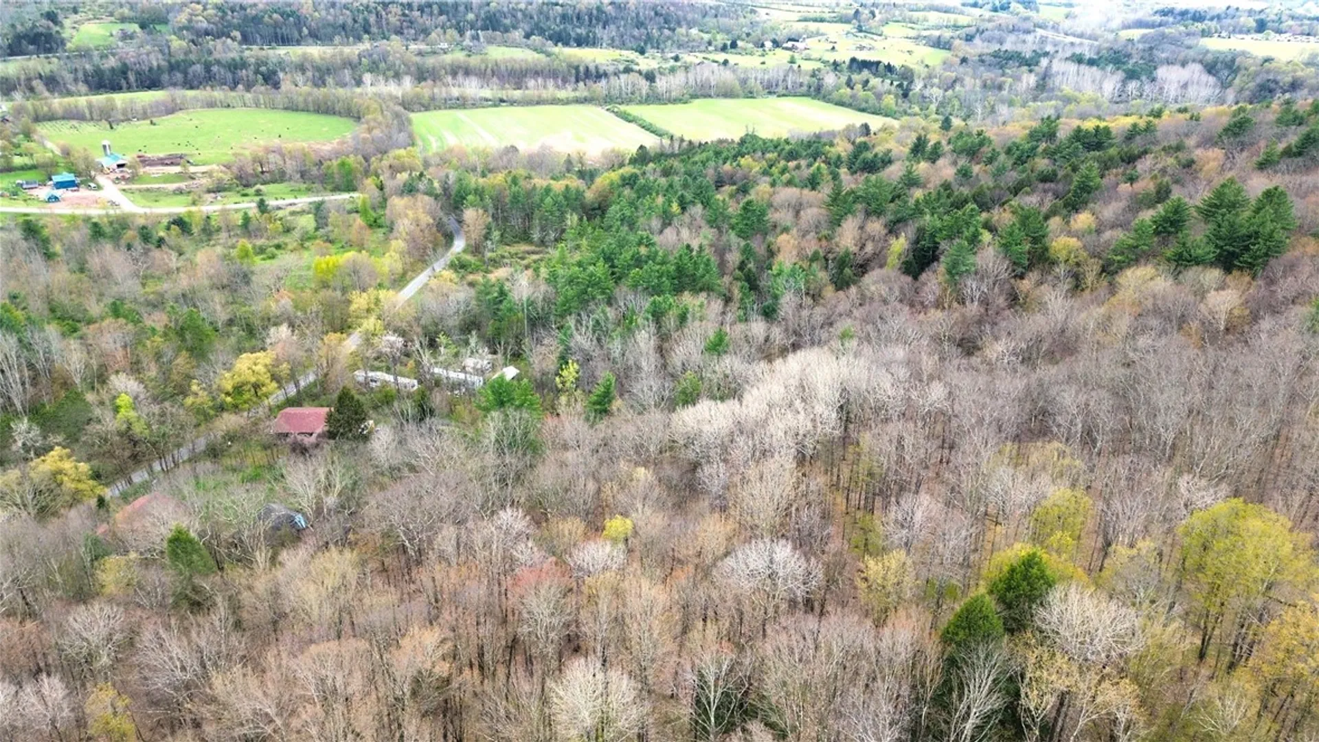 Property at 0 Patent Line Road, Sidney, NY 13838 13