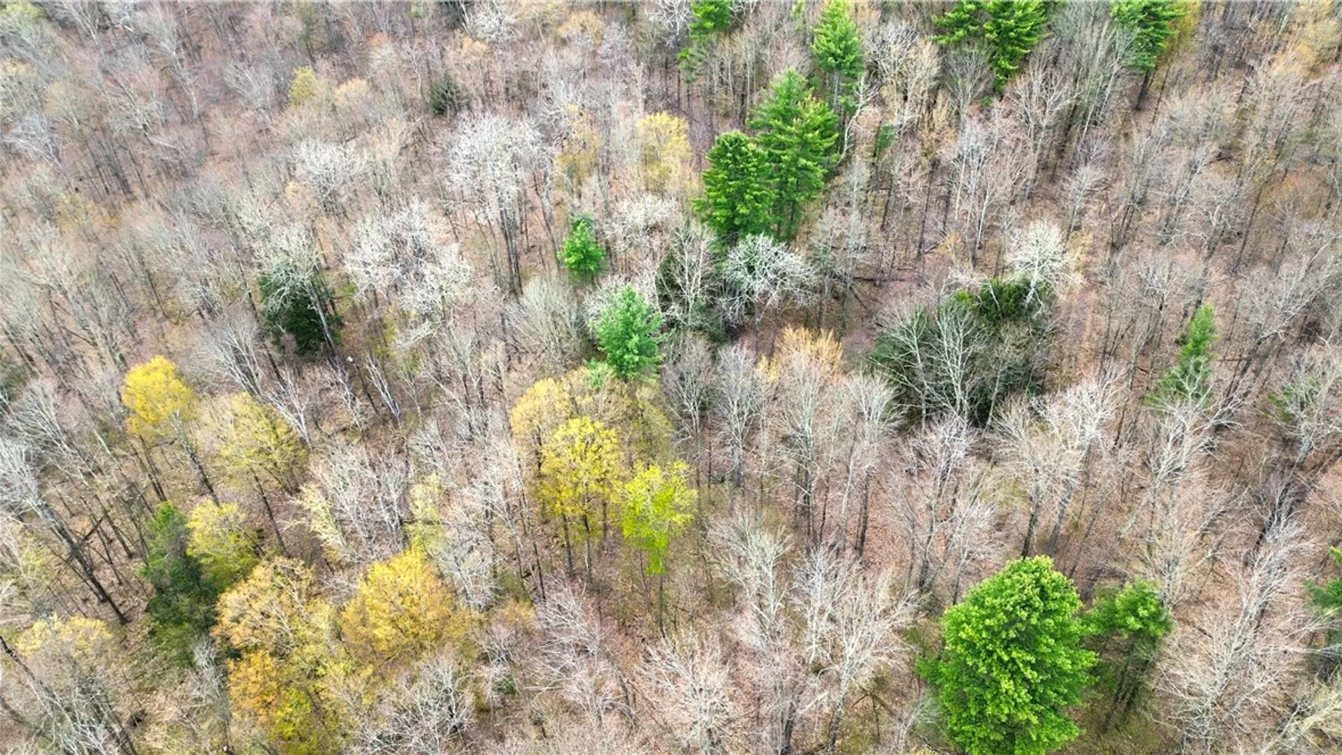 Property at 0 Patent Line Road, Sidney, NY 13838 16
