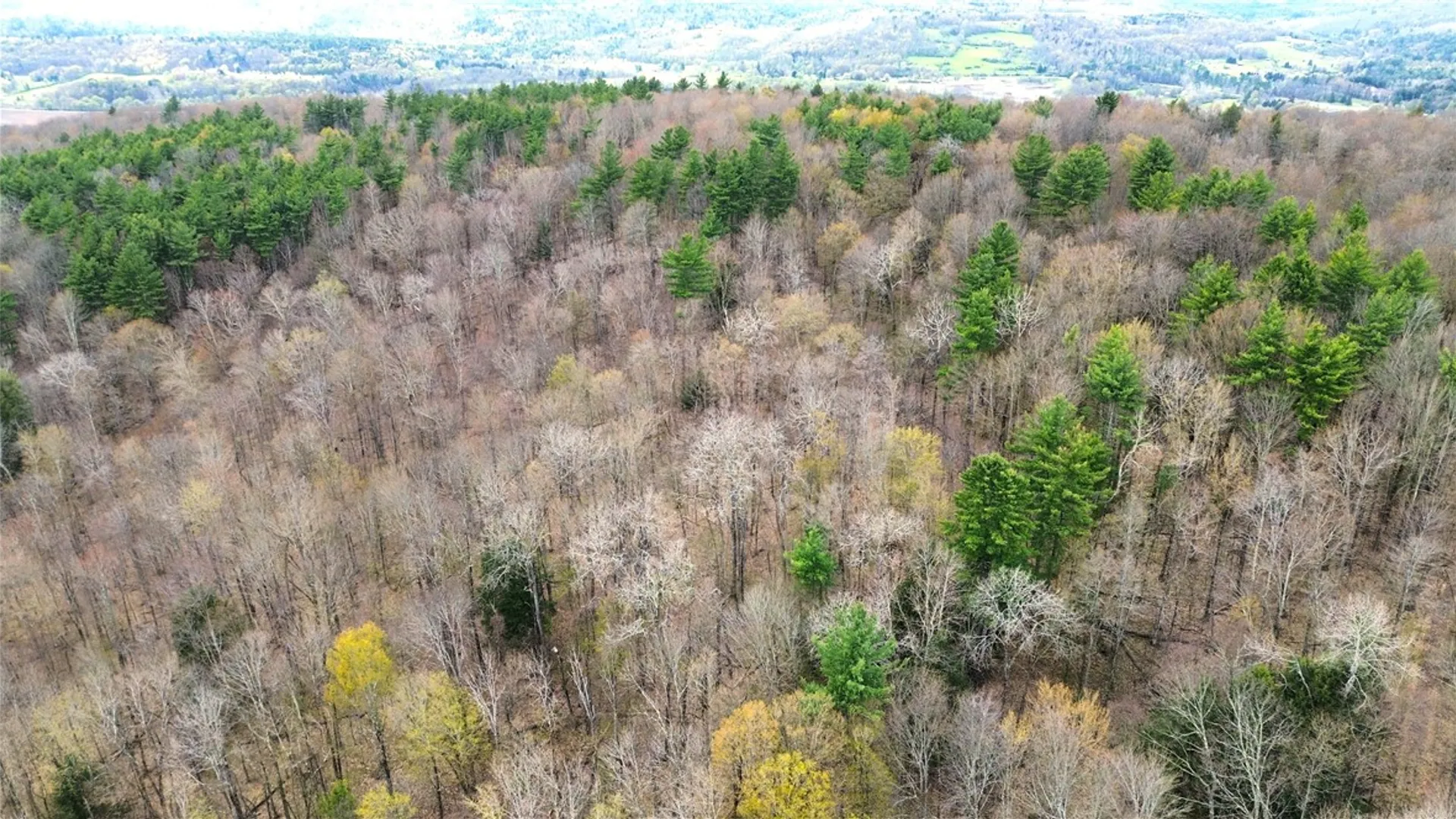 Property at 0 Patent Line Road, Sidney, NY 13838 4