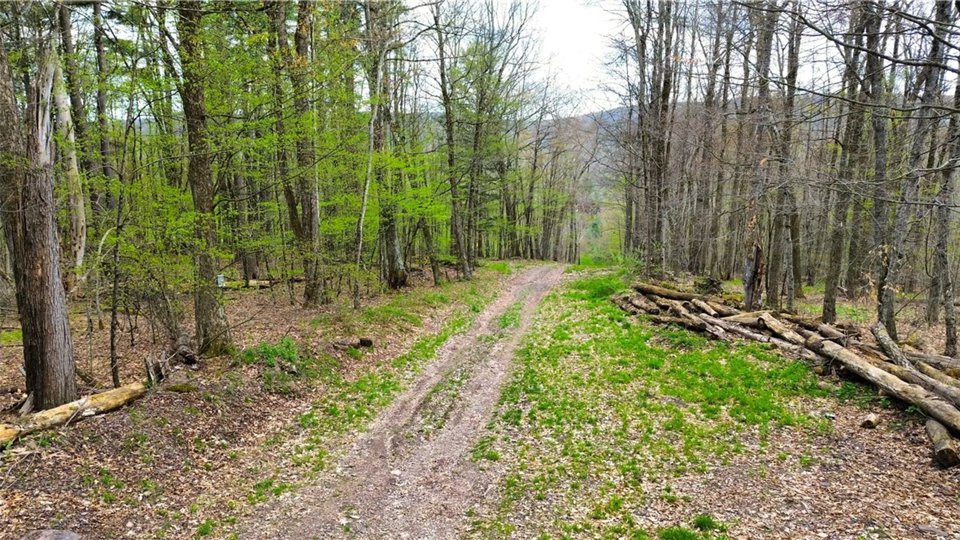Property at 0 Patent Line Road, Sidney, NY 13838 5
