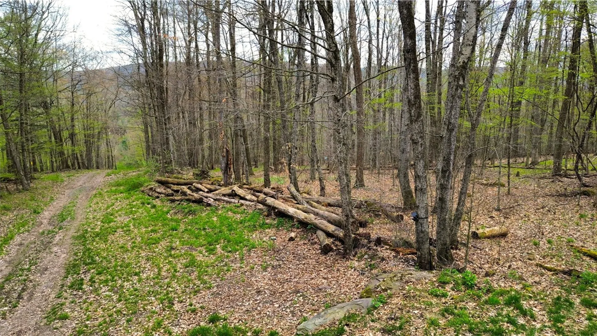 Property at 0 Patent Line Road, Sidney, NY 13838 17