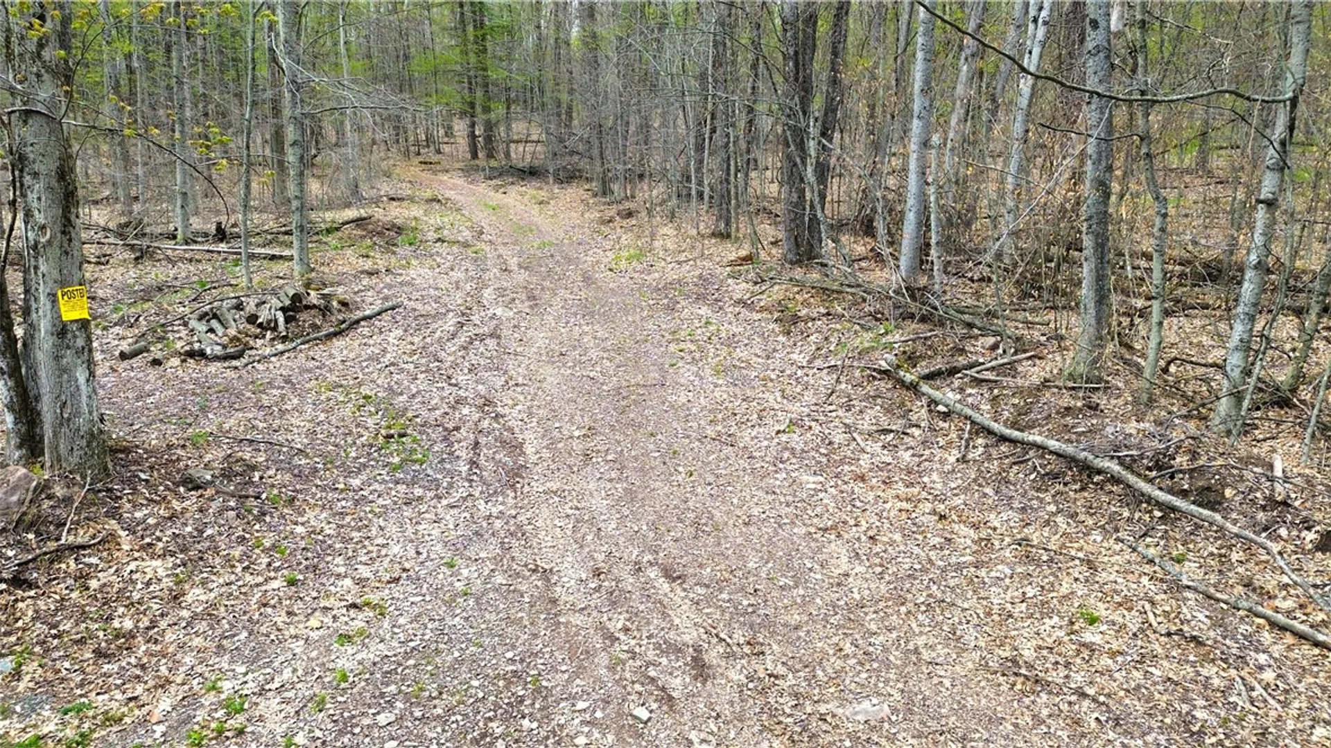 Property at 0 Patent Line Road, Sidney, NY 13838 18