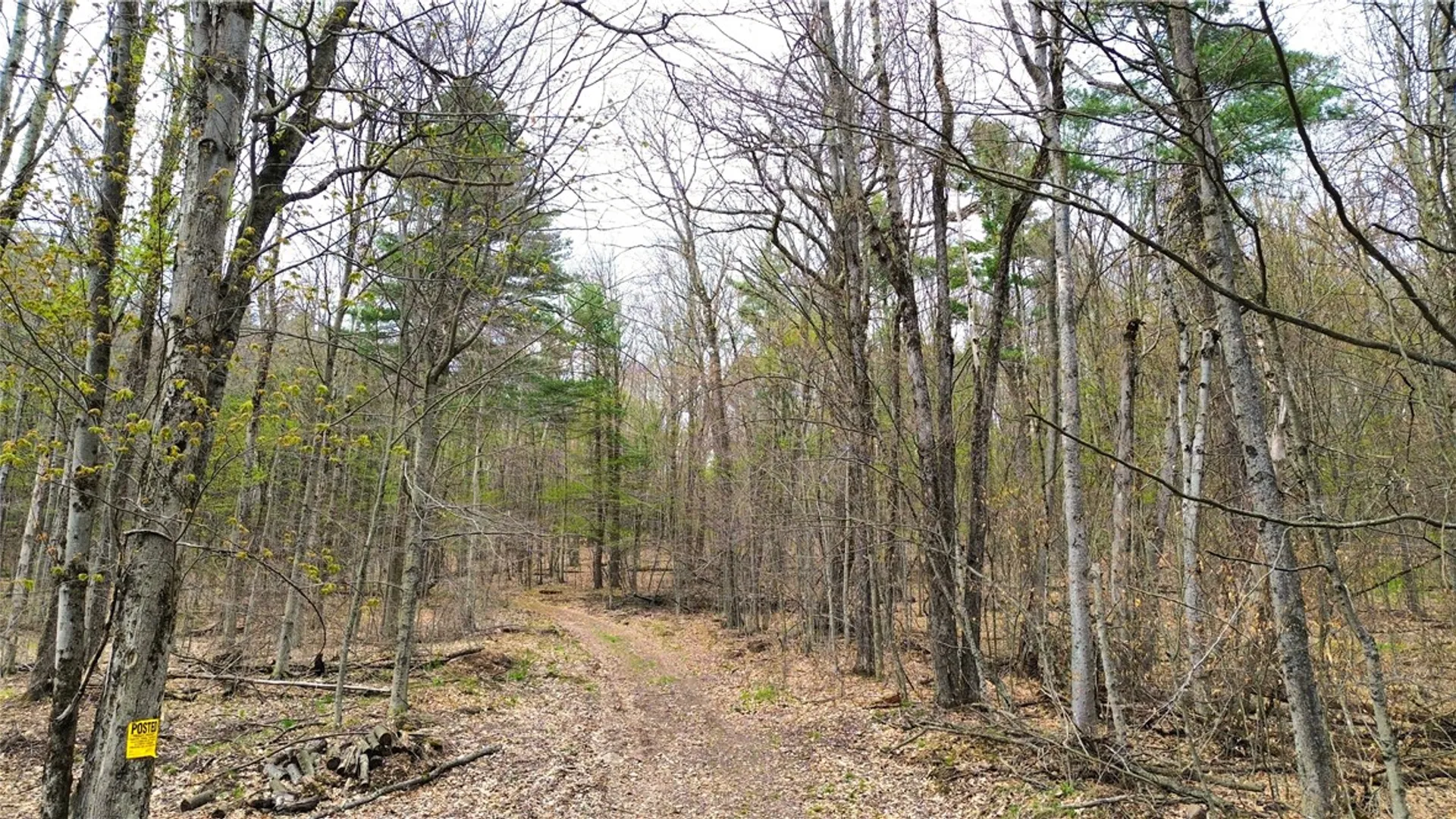 Property at 0 Patent Line Road, Sidney, NY 13838 19