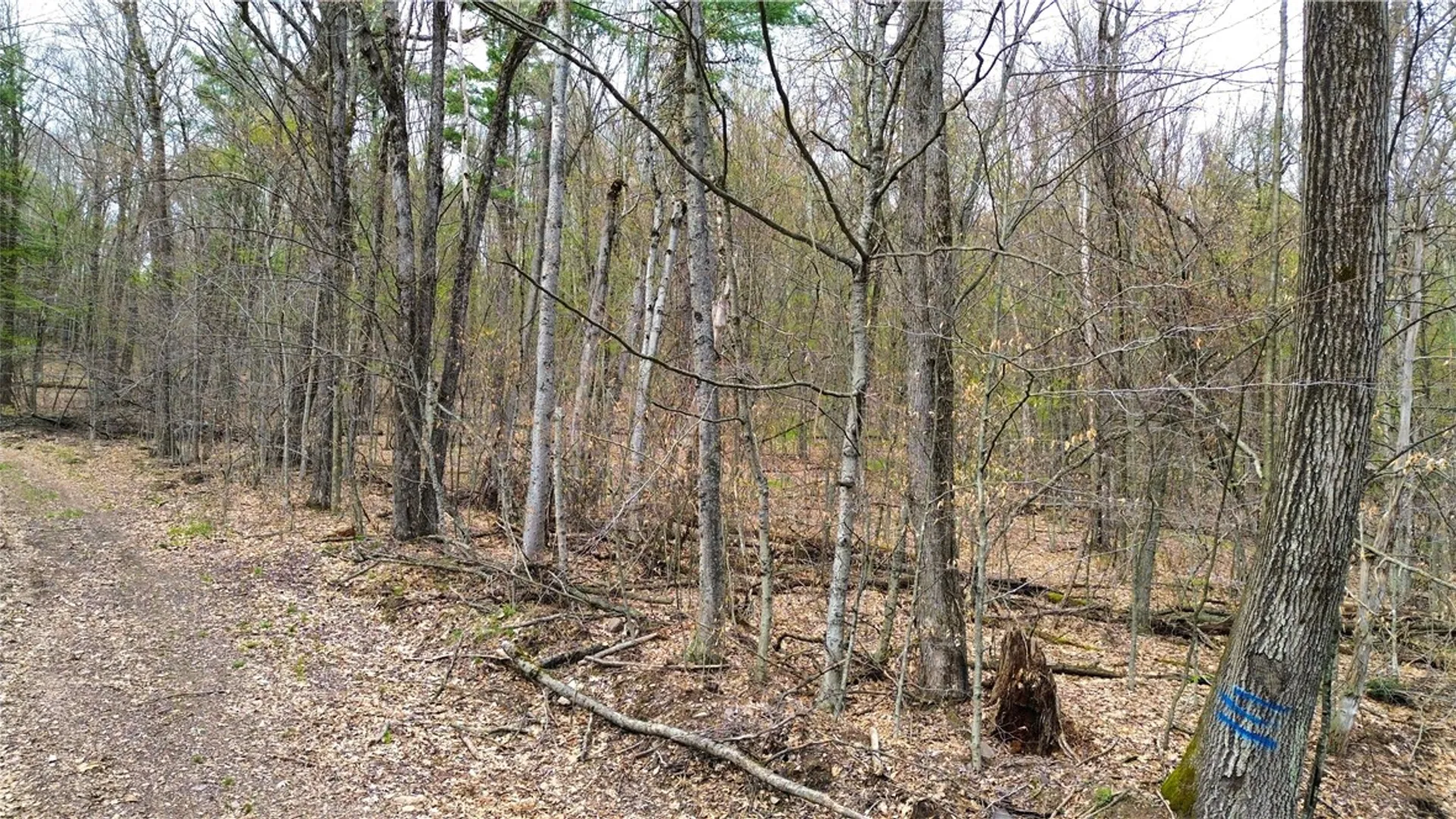 Property at 0 Patent Line Road, Sidney, NY 13838 20