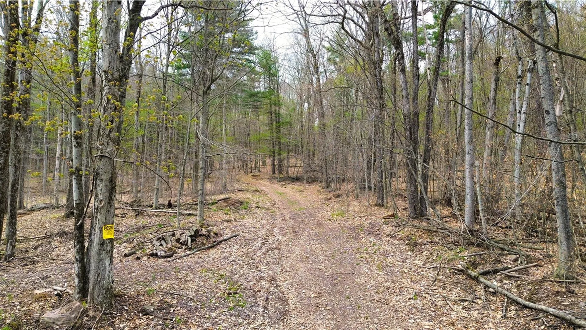 Property at 0 Patent Line Road, Sidney, NY 13838 22