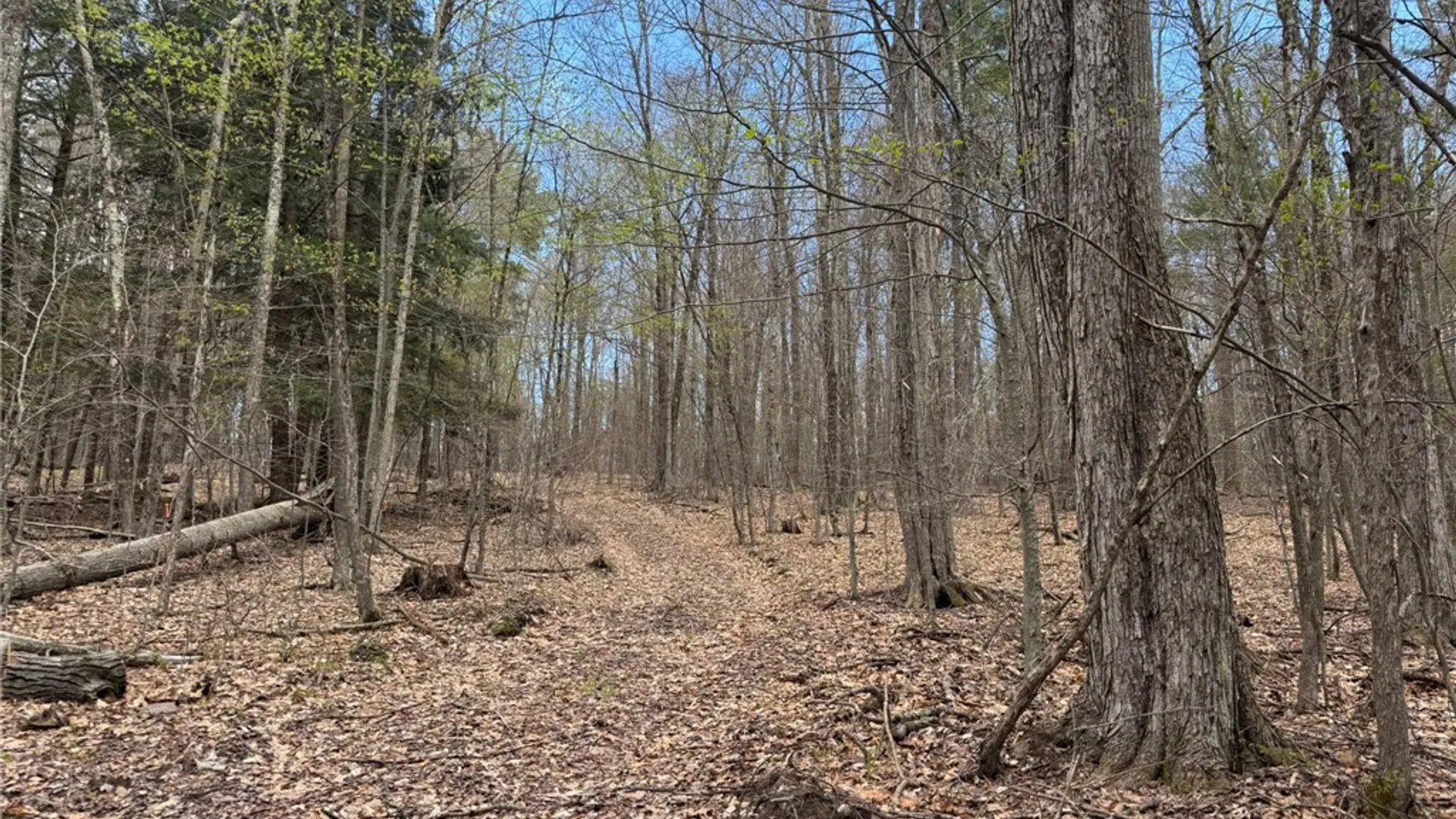 Property at 0 Patent Line Road, Sidney, NY 13838 37