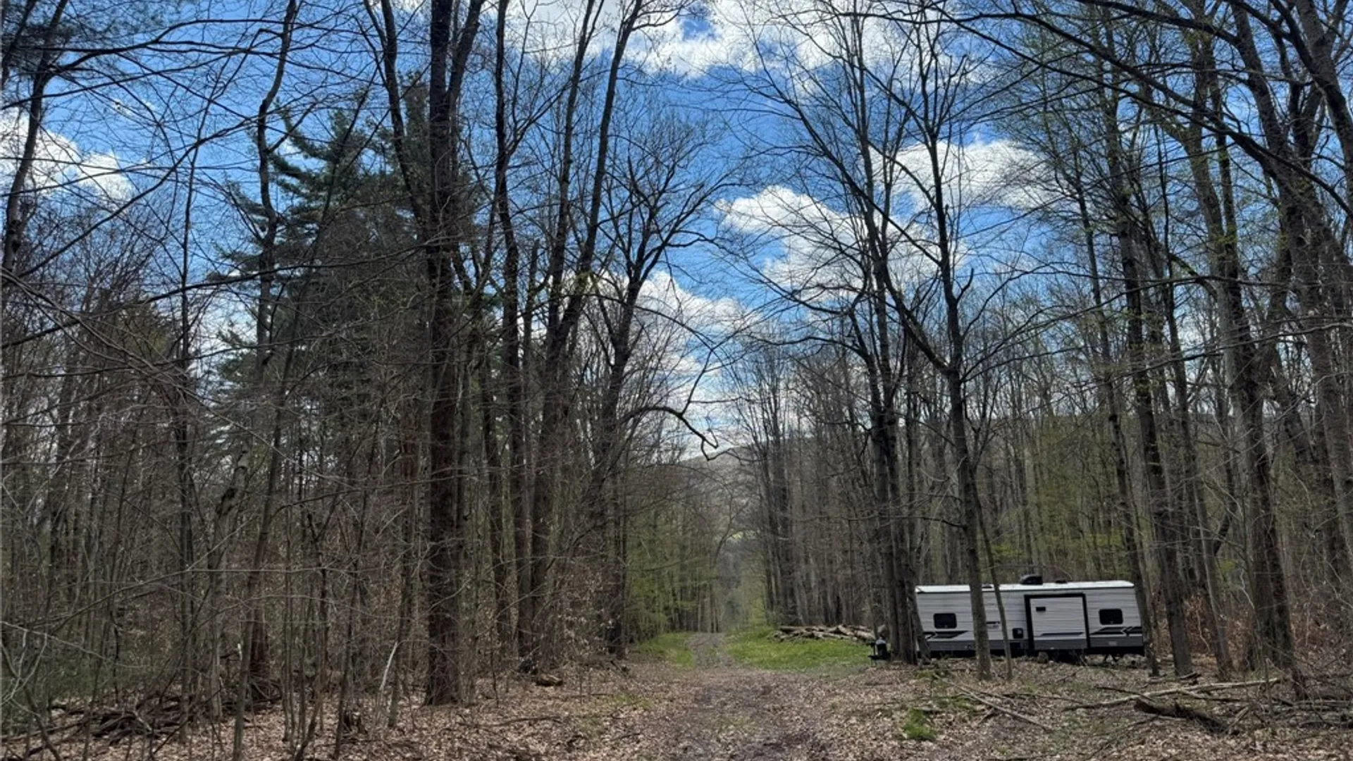 Property at 0 Patent Line Road, Sidney, NY 13838 38