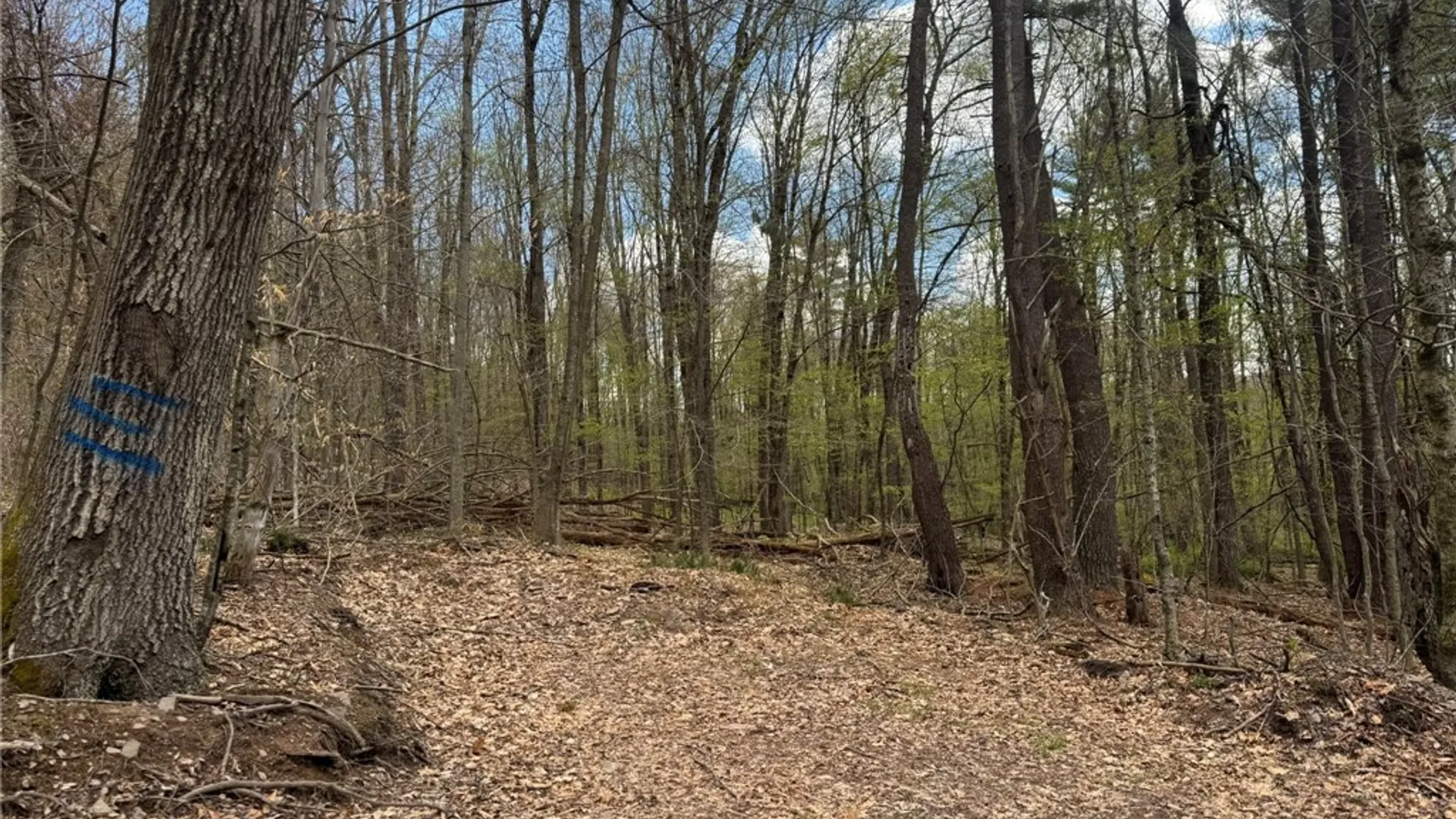 Property at 0 Patent Line Road, Sidney, NY 13838 40
