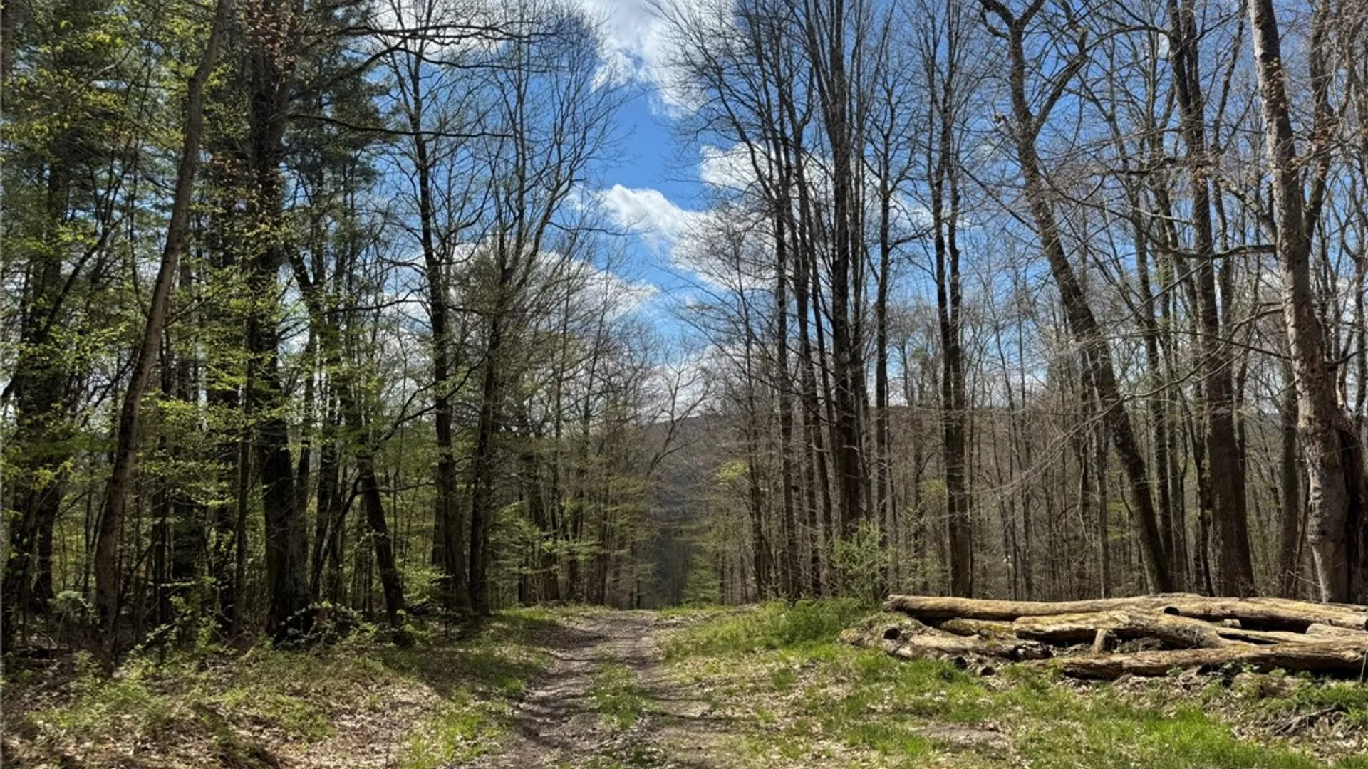 Property at 0 Patent Line Road, Sidney, NY 13838 41