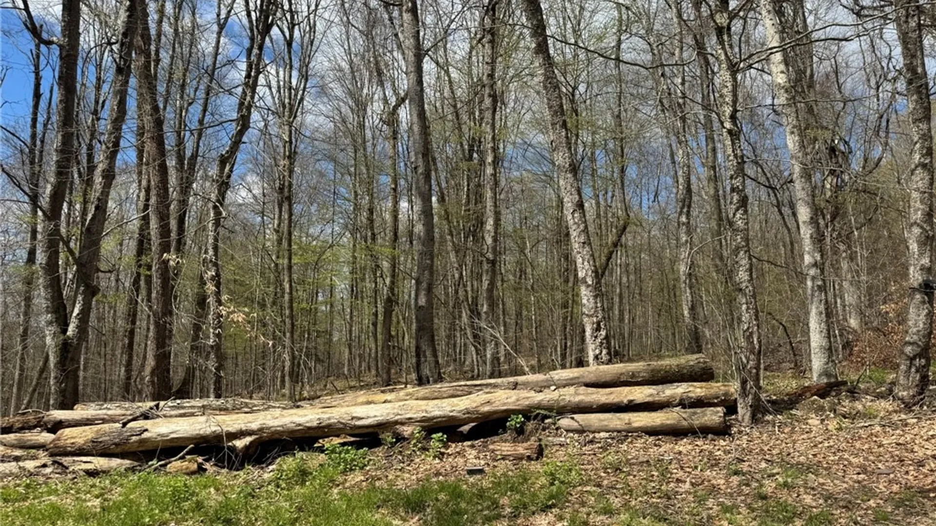 Property at 0 Patent Line Road, Sidney, NY 13838 42