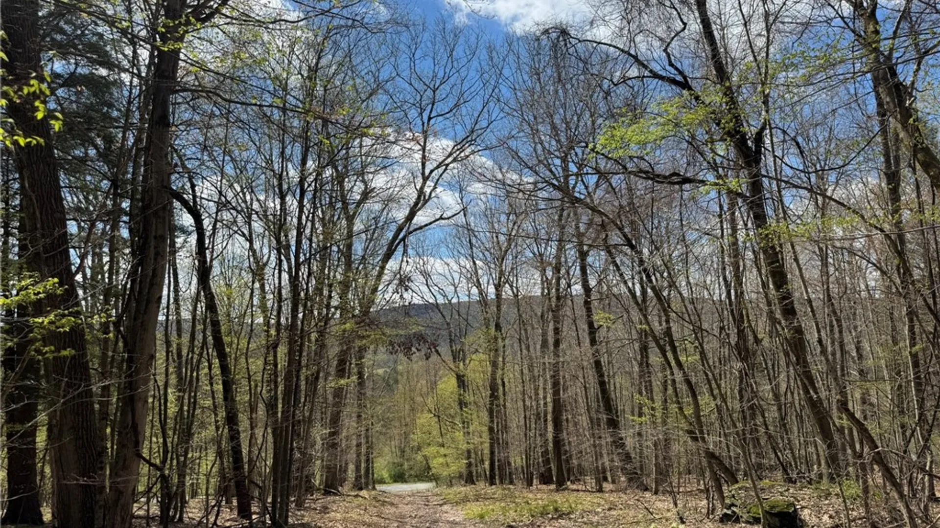 Property at 0 Patent Line Road, Sidney, NY 13838 44