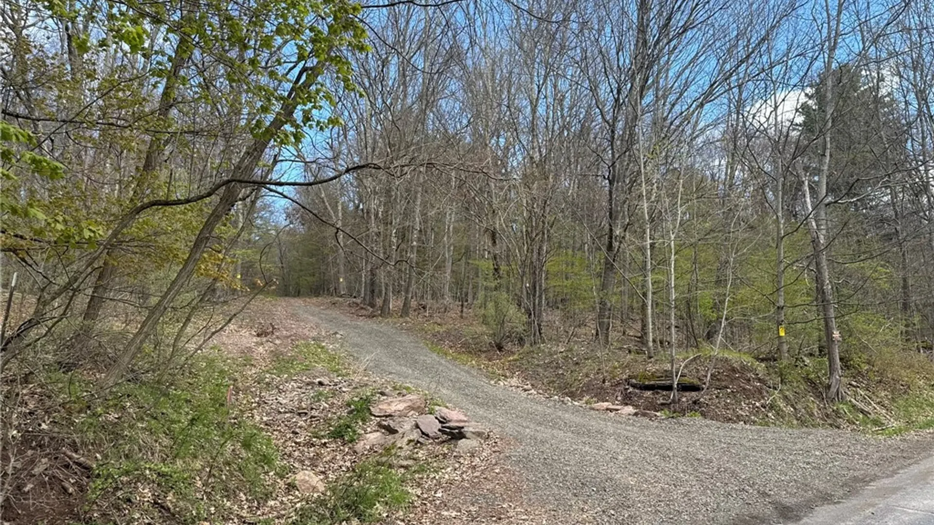 Property at 0 Patent Line Road, Sidney, NY 13838 46