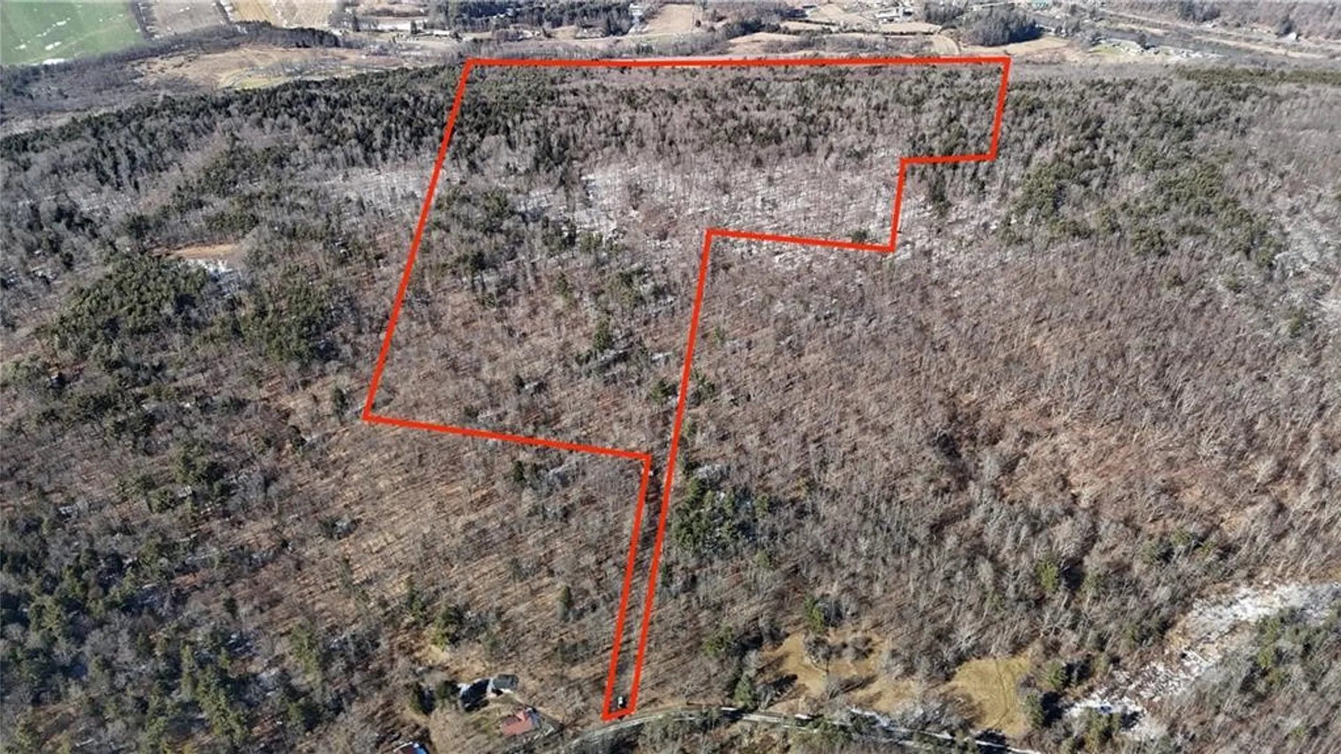 Property at 0 Patent Line Road, Sidney, NY 13838 7