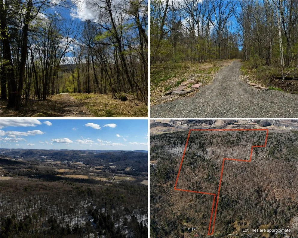 Property at 0 Patent Line Road, Sidney, NY 13838