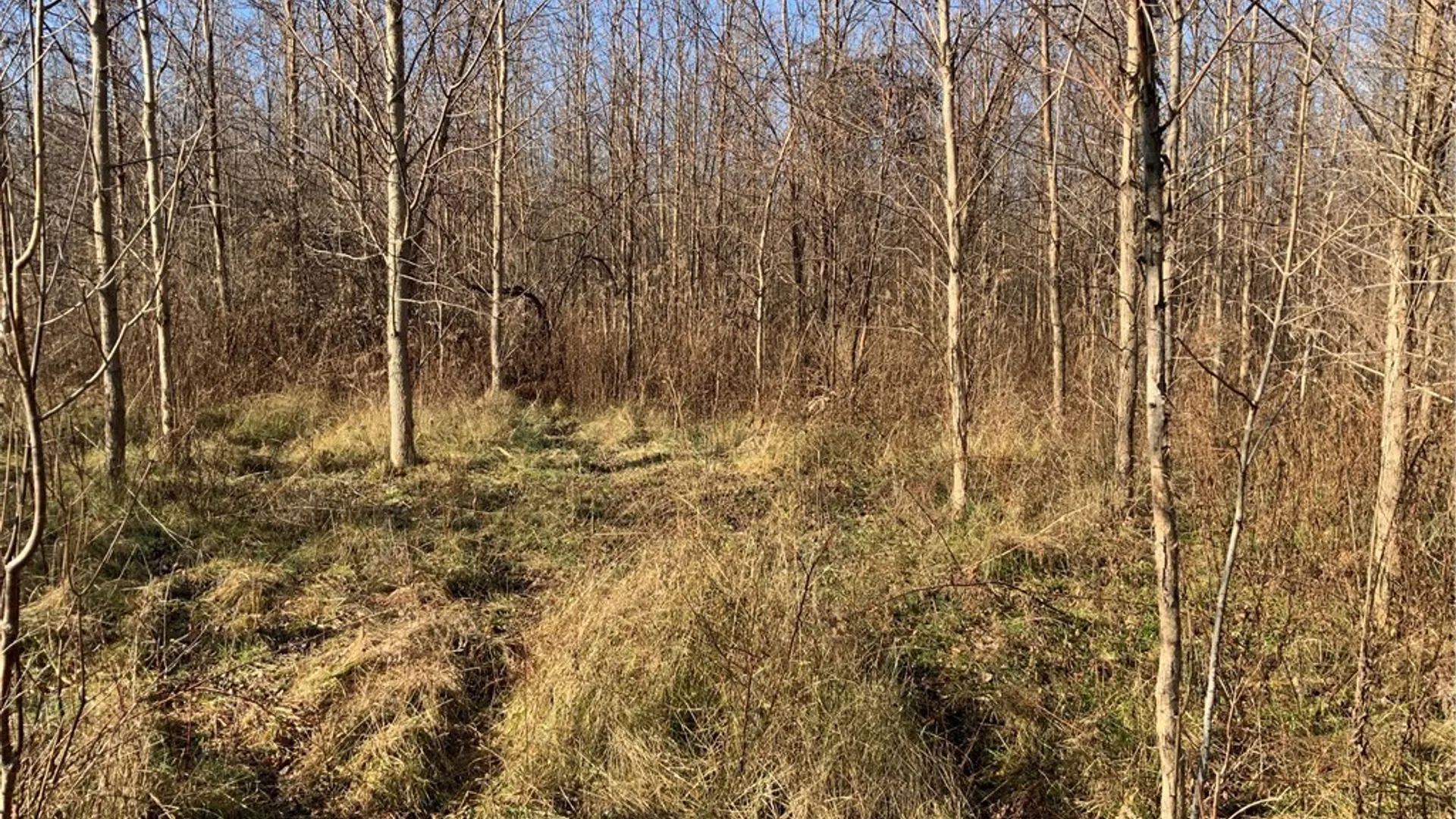 Property at N. Gravel, Ridgeway, NY 14103 4