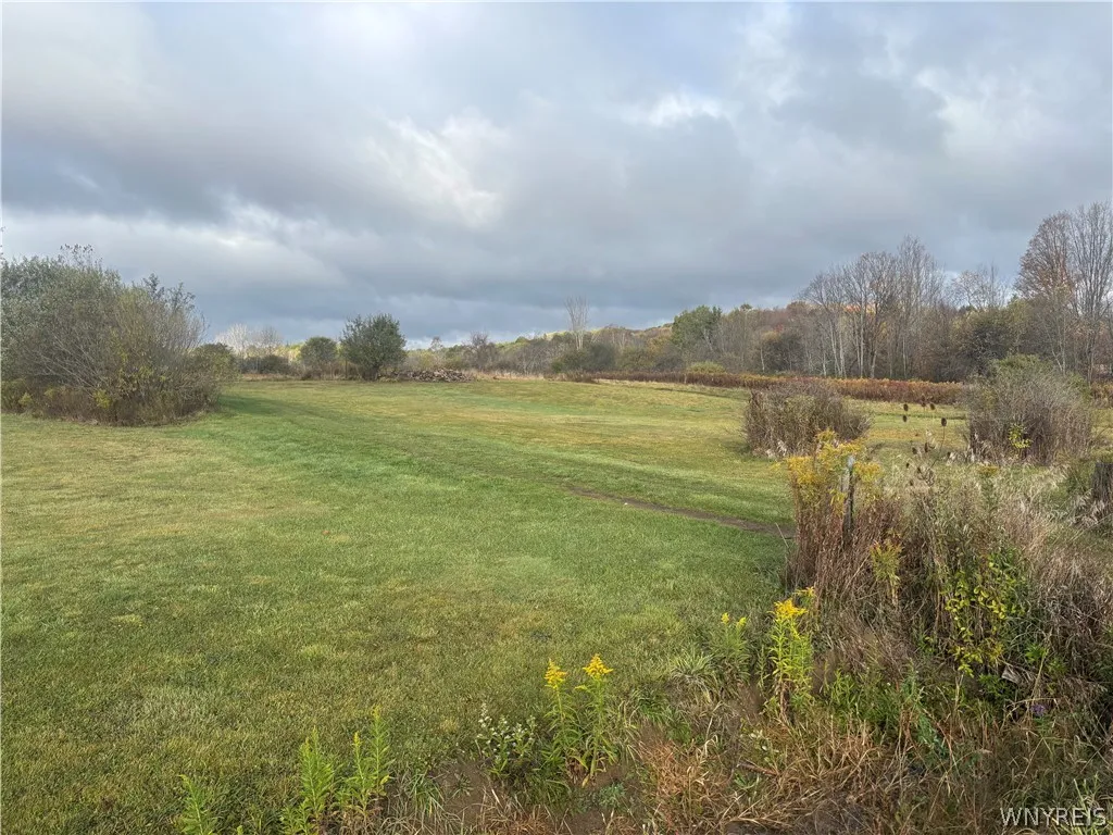 Property at 10087 Pratt Road, Centerville, NY 14744