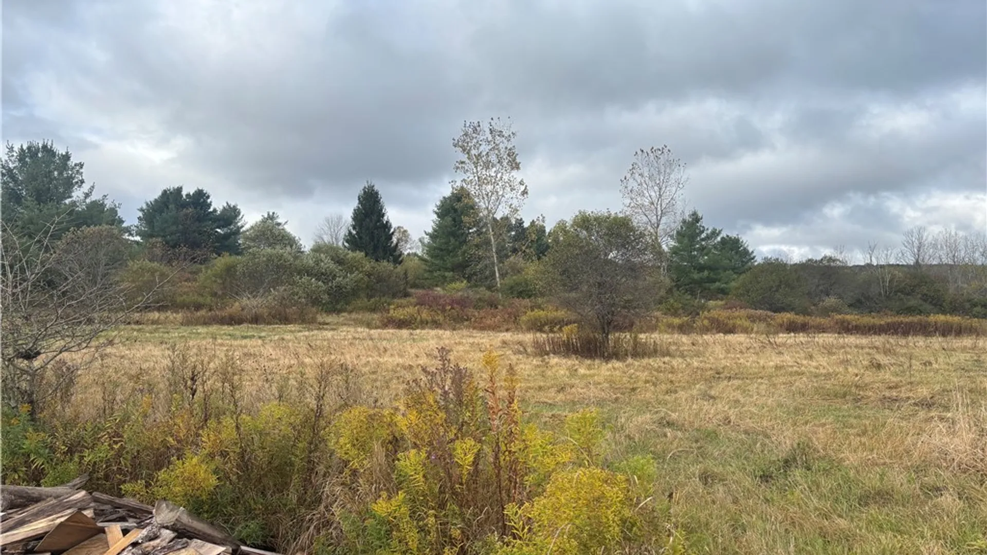 Property at 10087 Pratt Road, Centerville, NY 14744 3