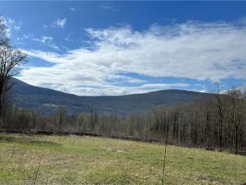 Property at Vega Mountain Road, Roxbury, NY 12474