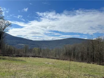 Property at Vega Mountain Road, Roxbury, NY 12474