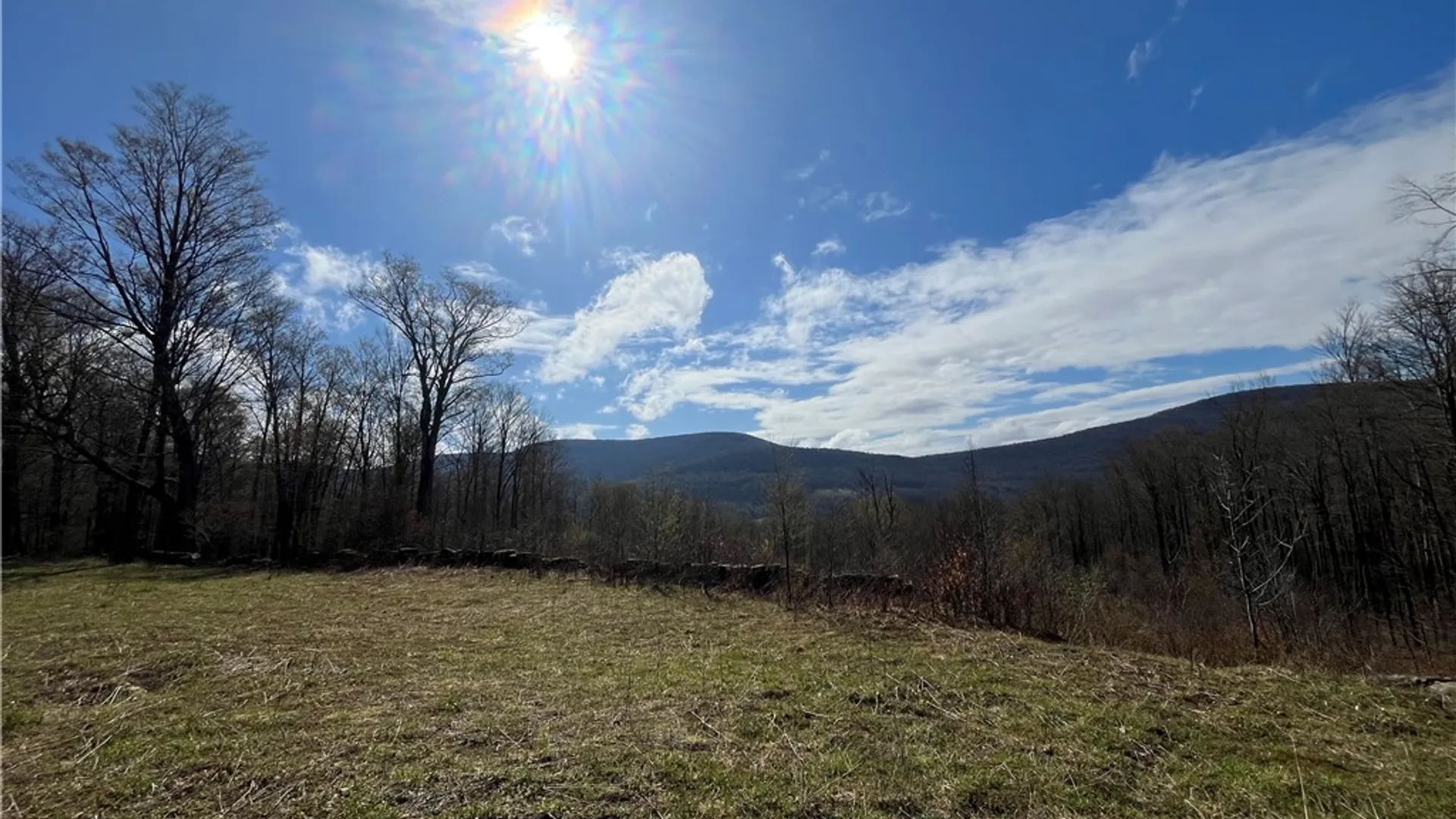 Property at Vega Mountain Road, Roxbury, NY 12474 3
