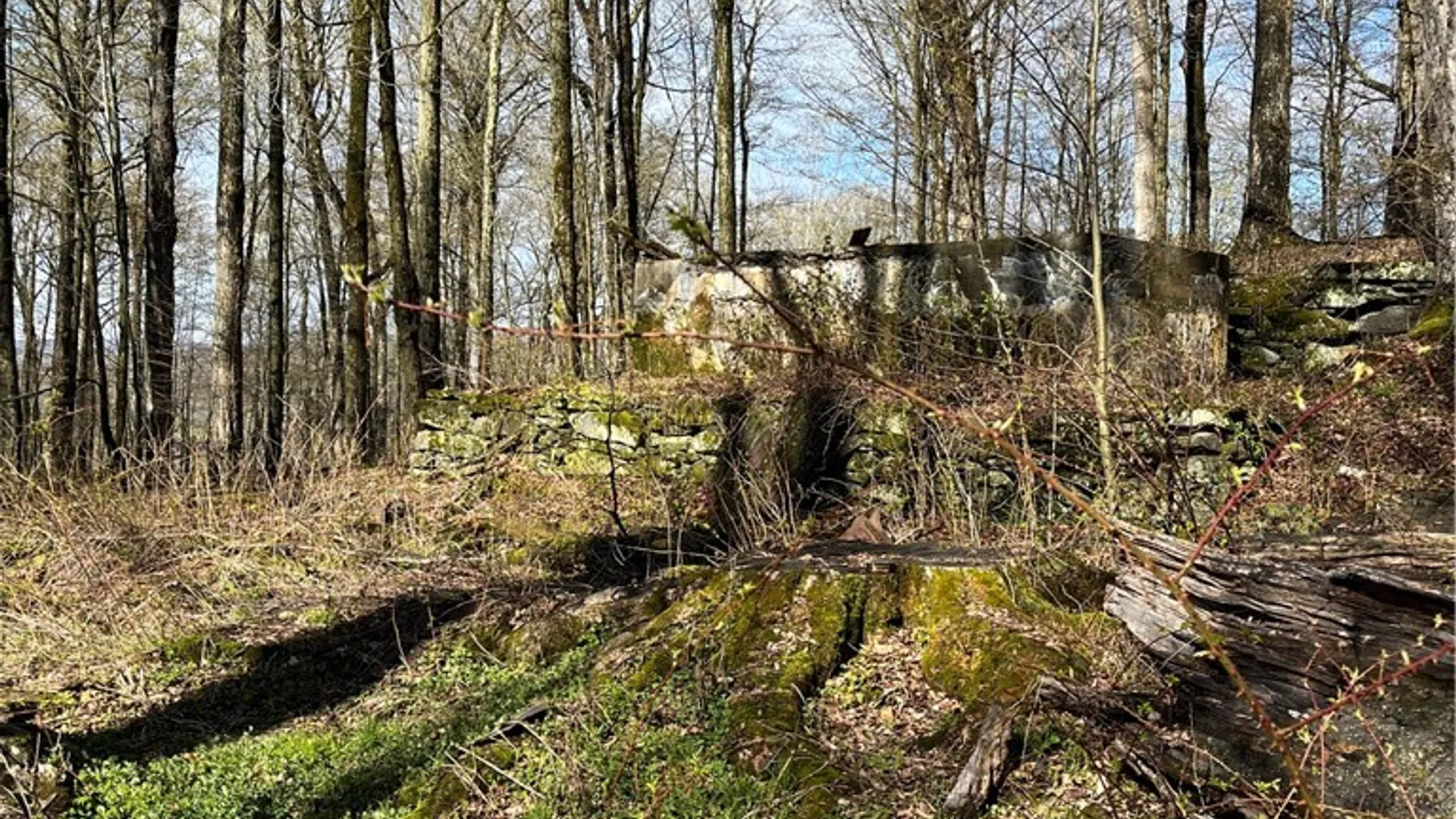 Property at Vega Mountain Road, Roxbury, NY 12474 4