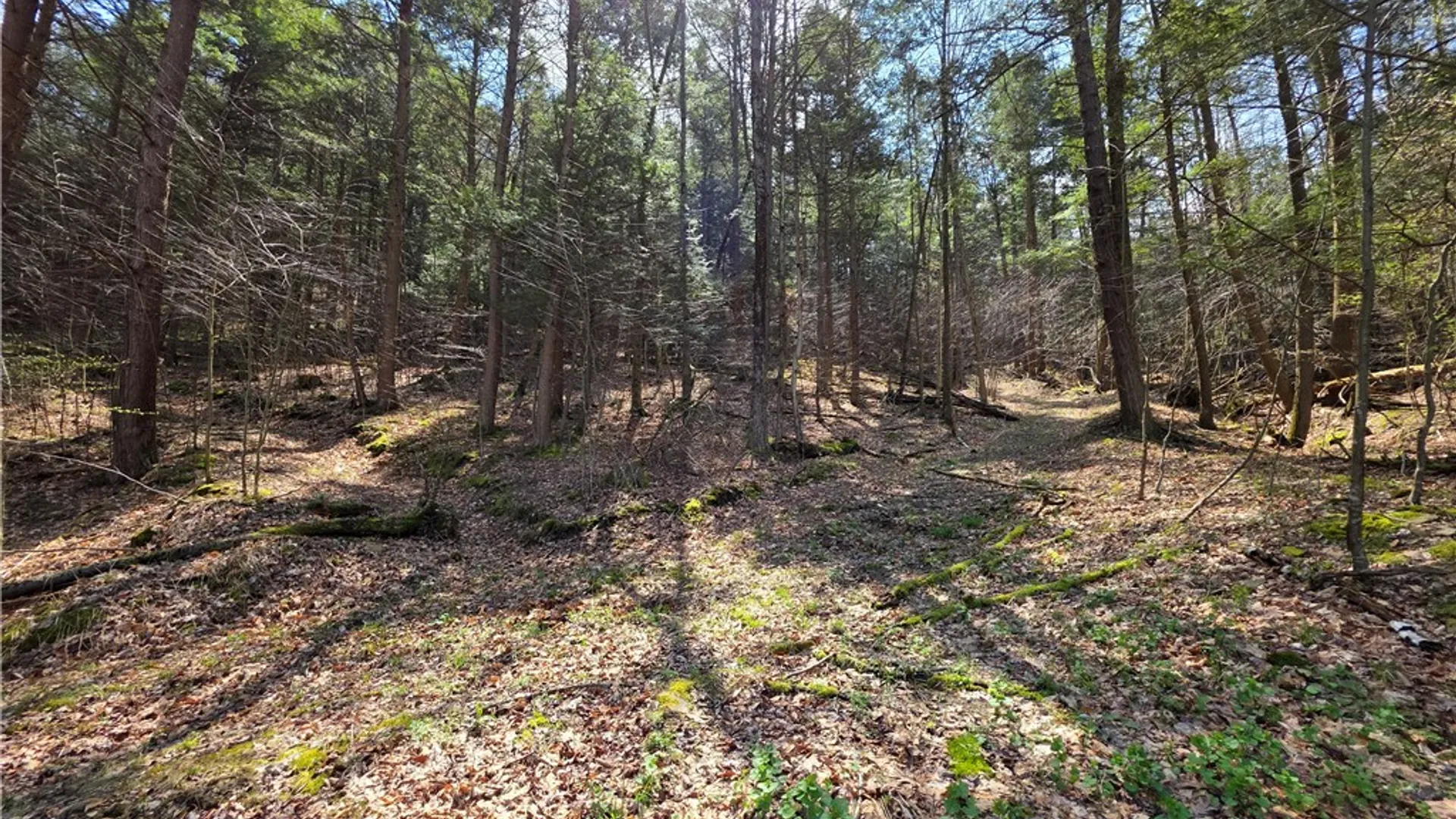 Property at 3741 Catatunk Road, Canisteo, NY 14823 40