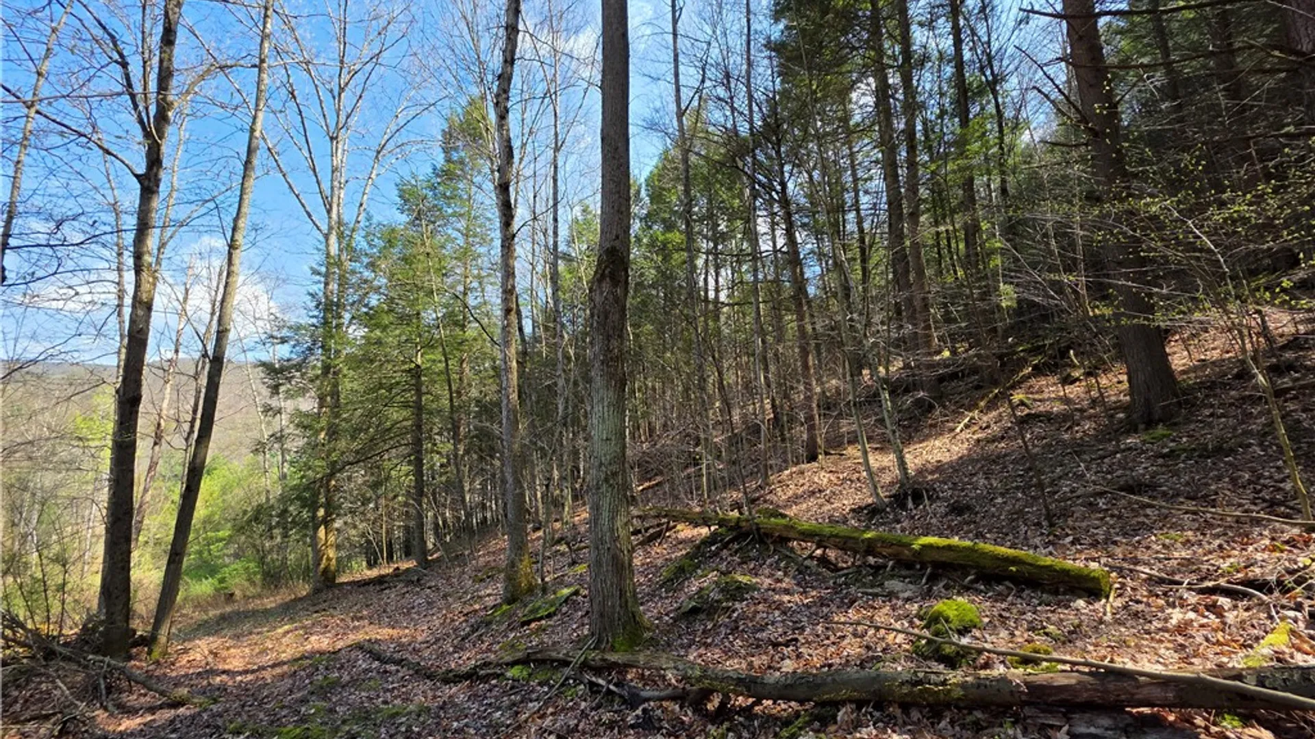 Property at 3741 Catatunk Road, Canisteo, NY 14823 41