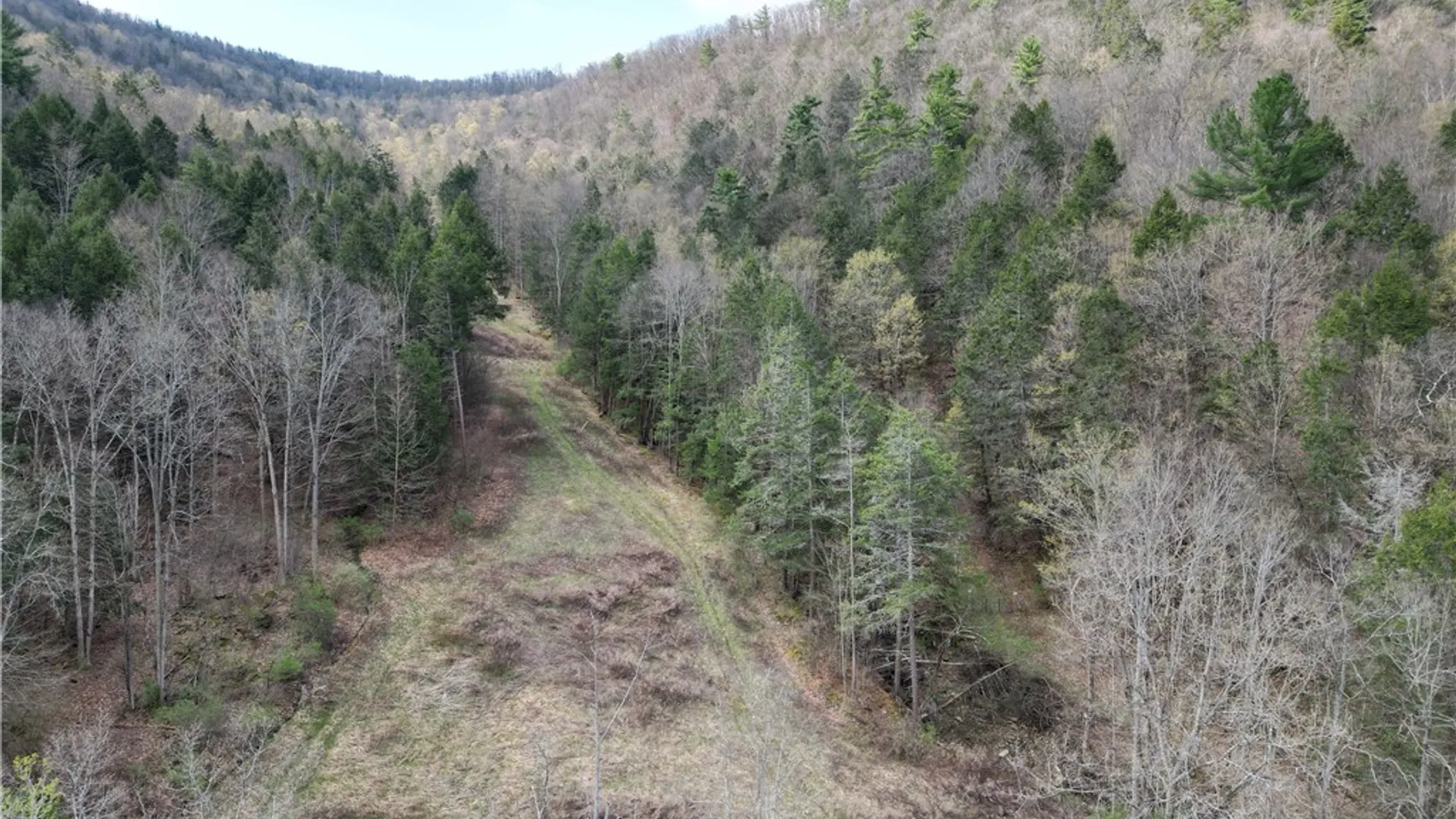 Property at 3741 Catatunk Road, Canisteo, NY 14823 44