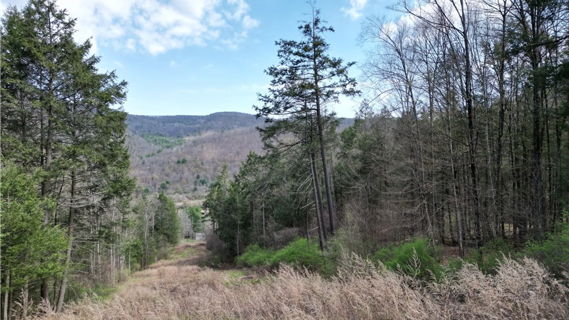 Property at 3741 Catatunk Road, Canisteo, NY 14823 47