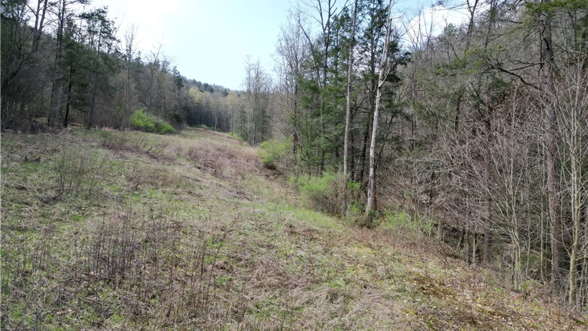 Property at 3741 Catatunk Road, Canisteo, NY 14823 48