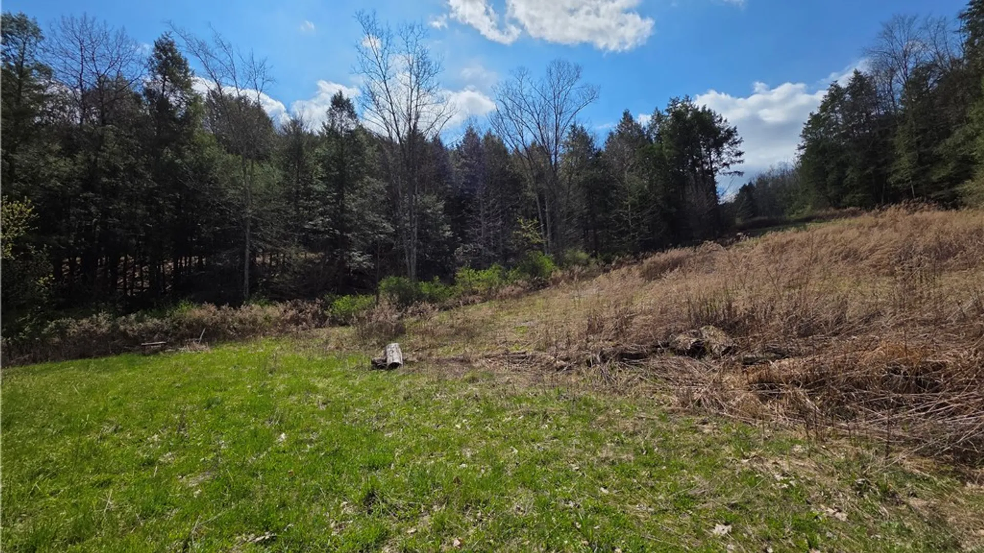 Property at 3741 Catatunk Road, Canisteo, NY 14823 38
